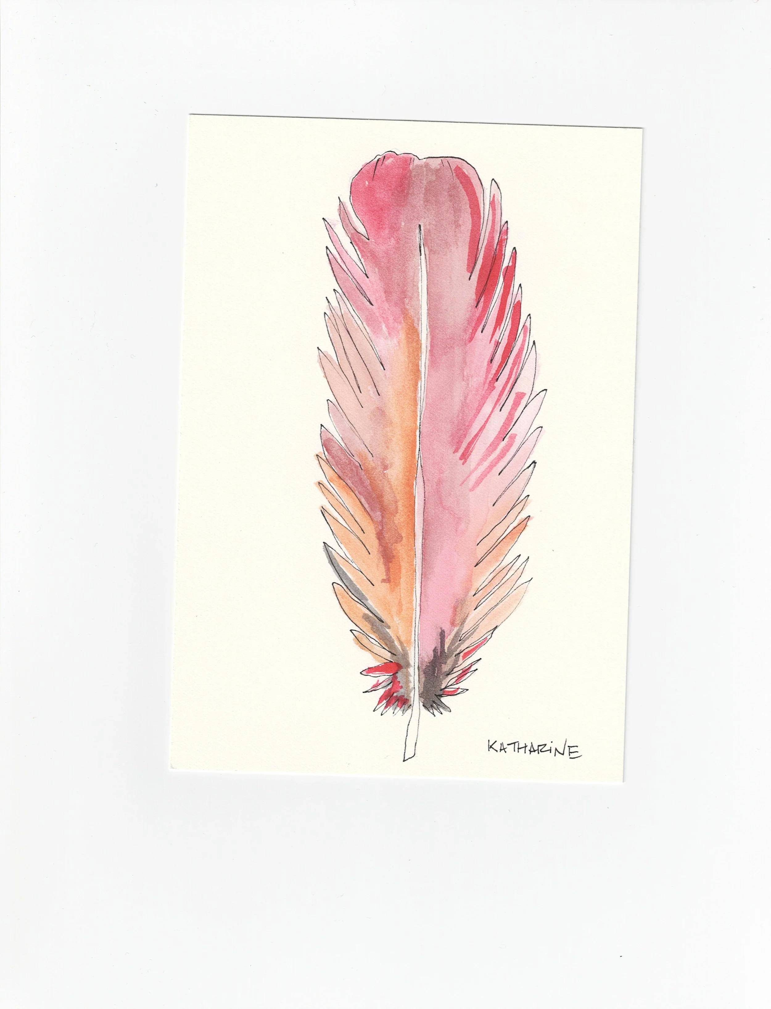 red watecolor feather.jpg