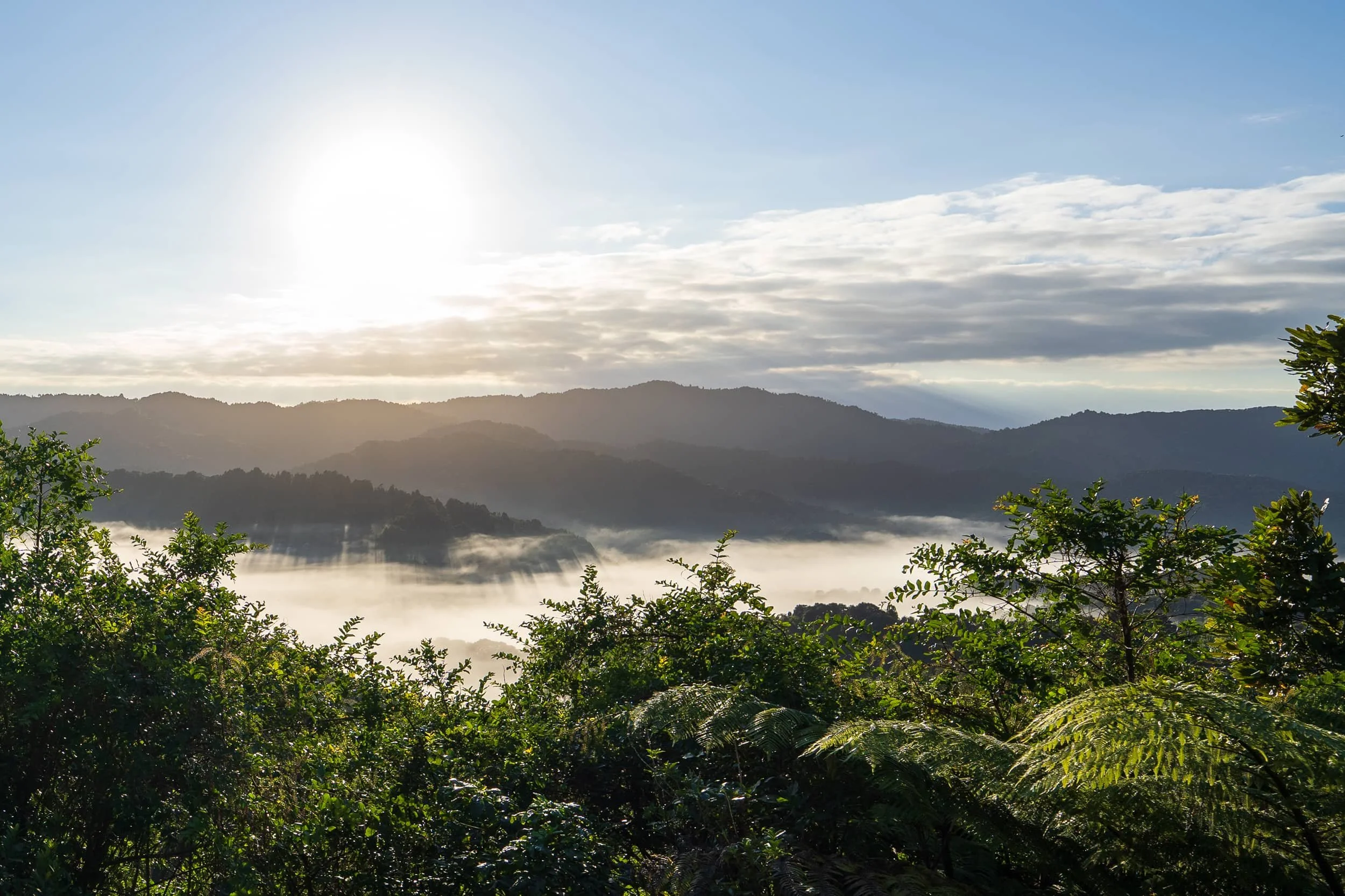 Hunua Ranges Regional Park