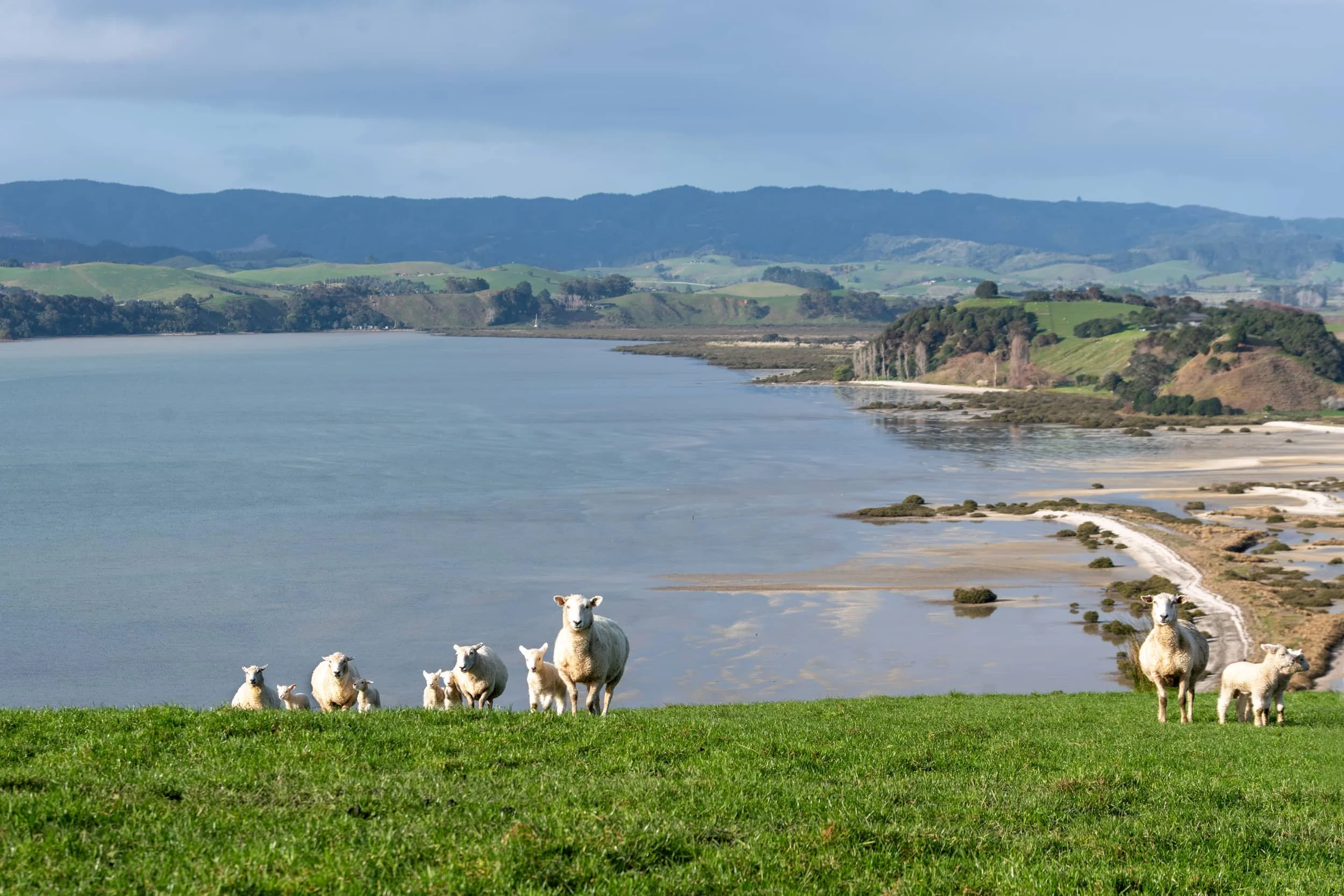 Duder Regional Park