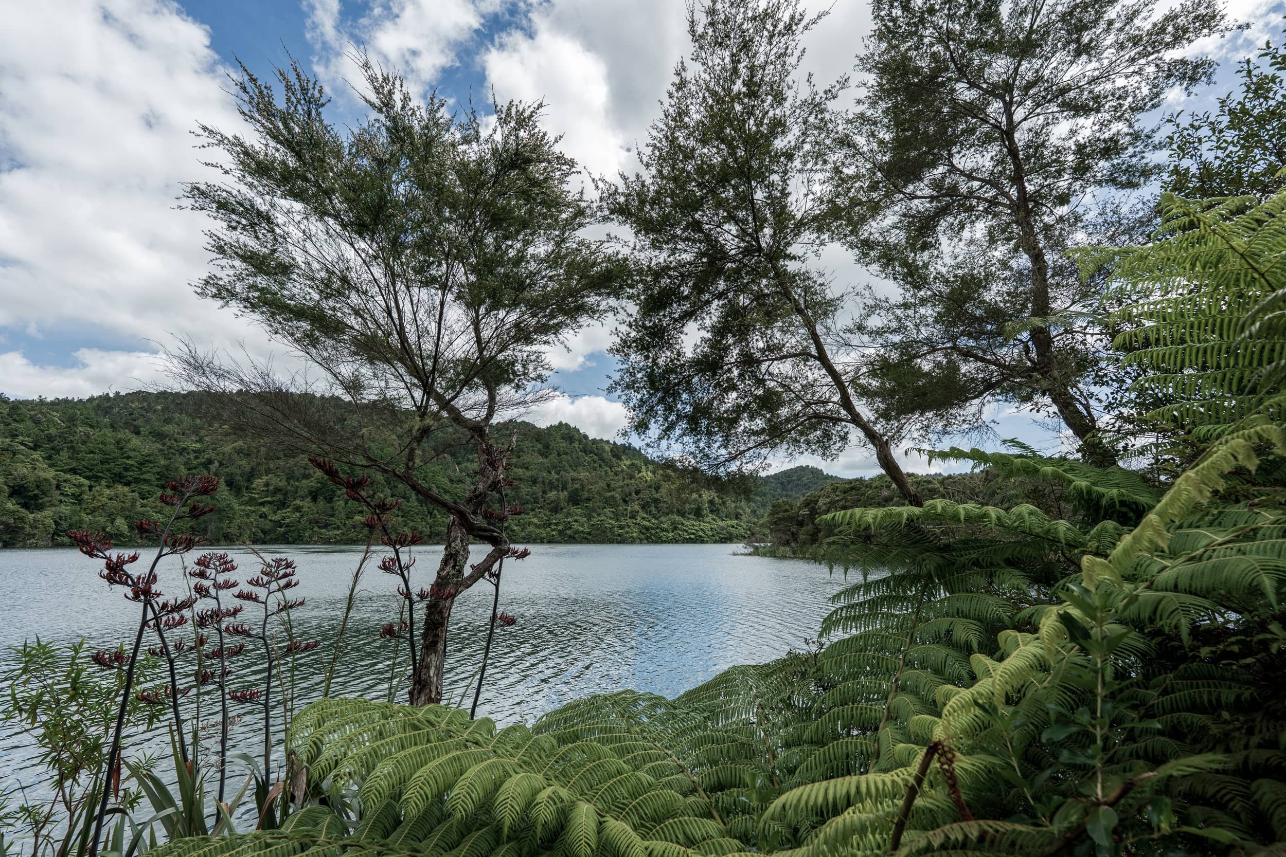 Hunua Ranges Regional Park