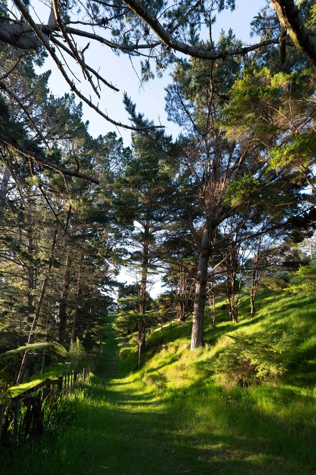 Waitawa Regional Park