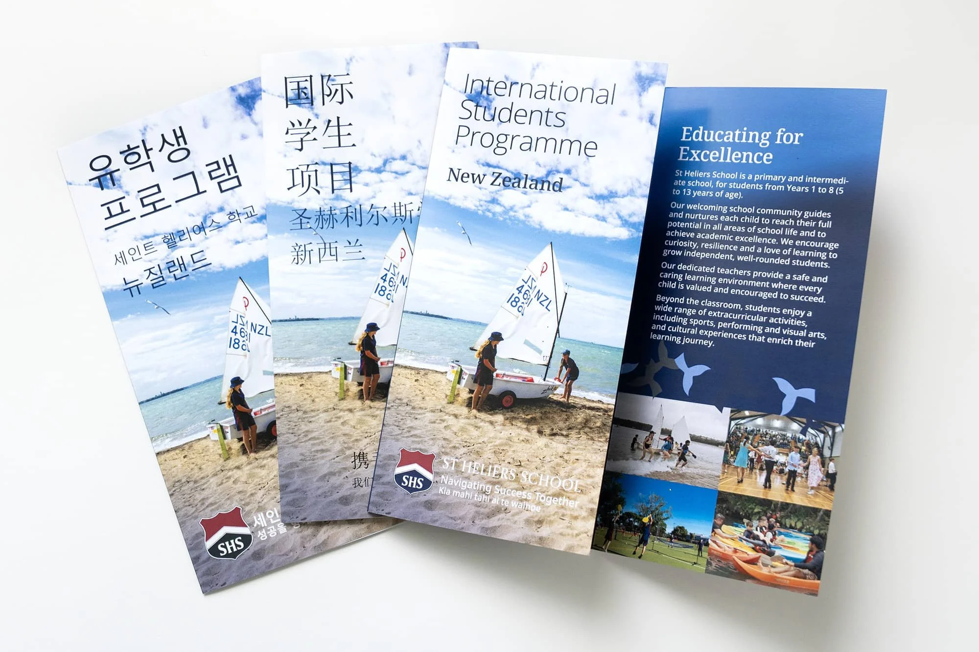 sthel-30fold-brochure-web.jpg