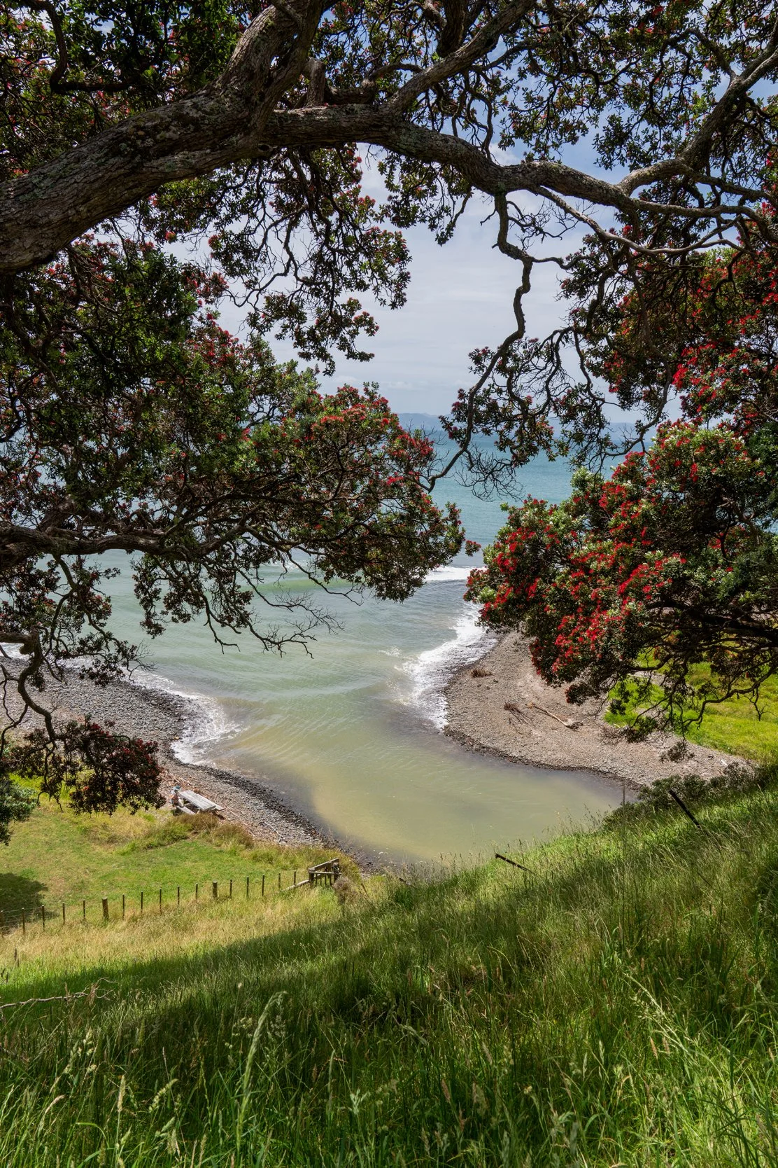 Tapakakanga Regional Park
