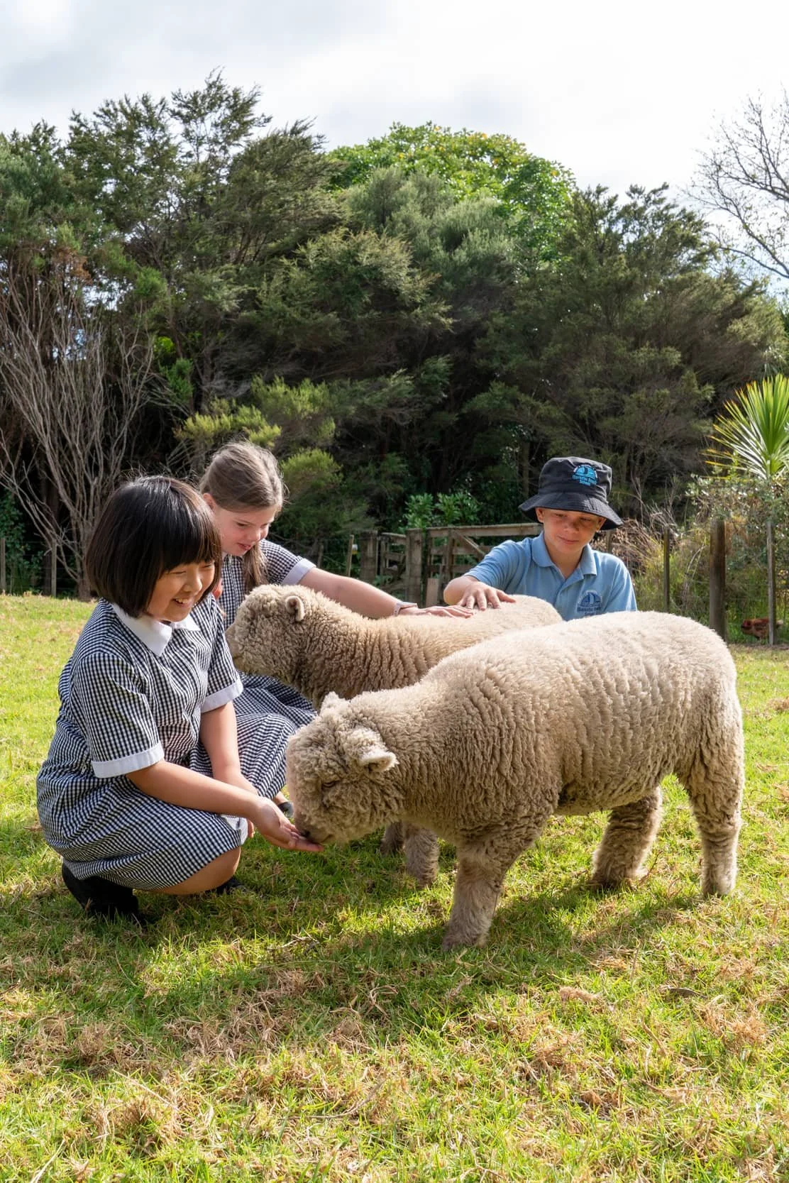 kids-sheep-1.jpg