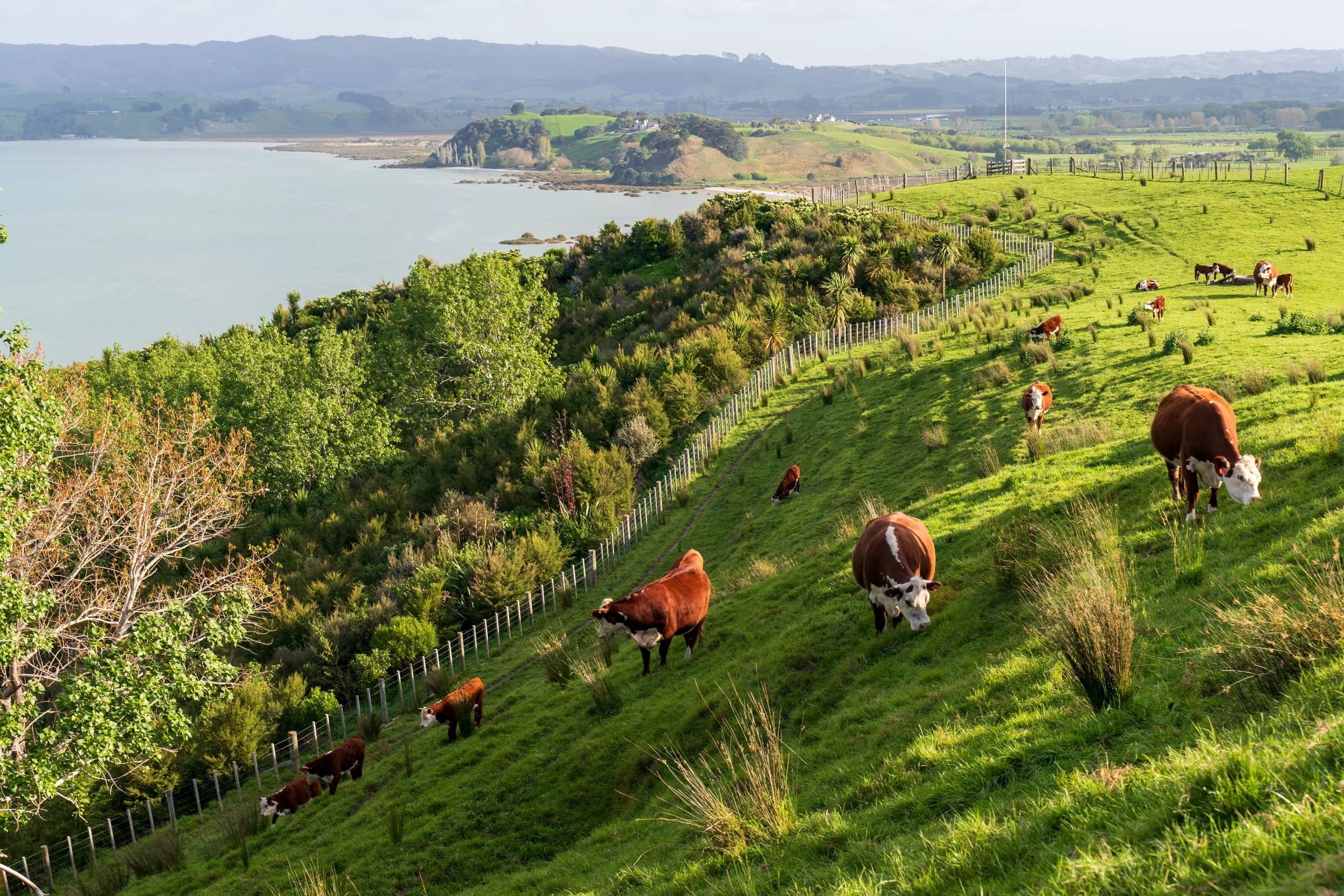 Duder Regional Park