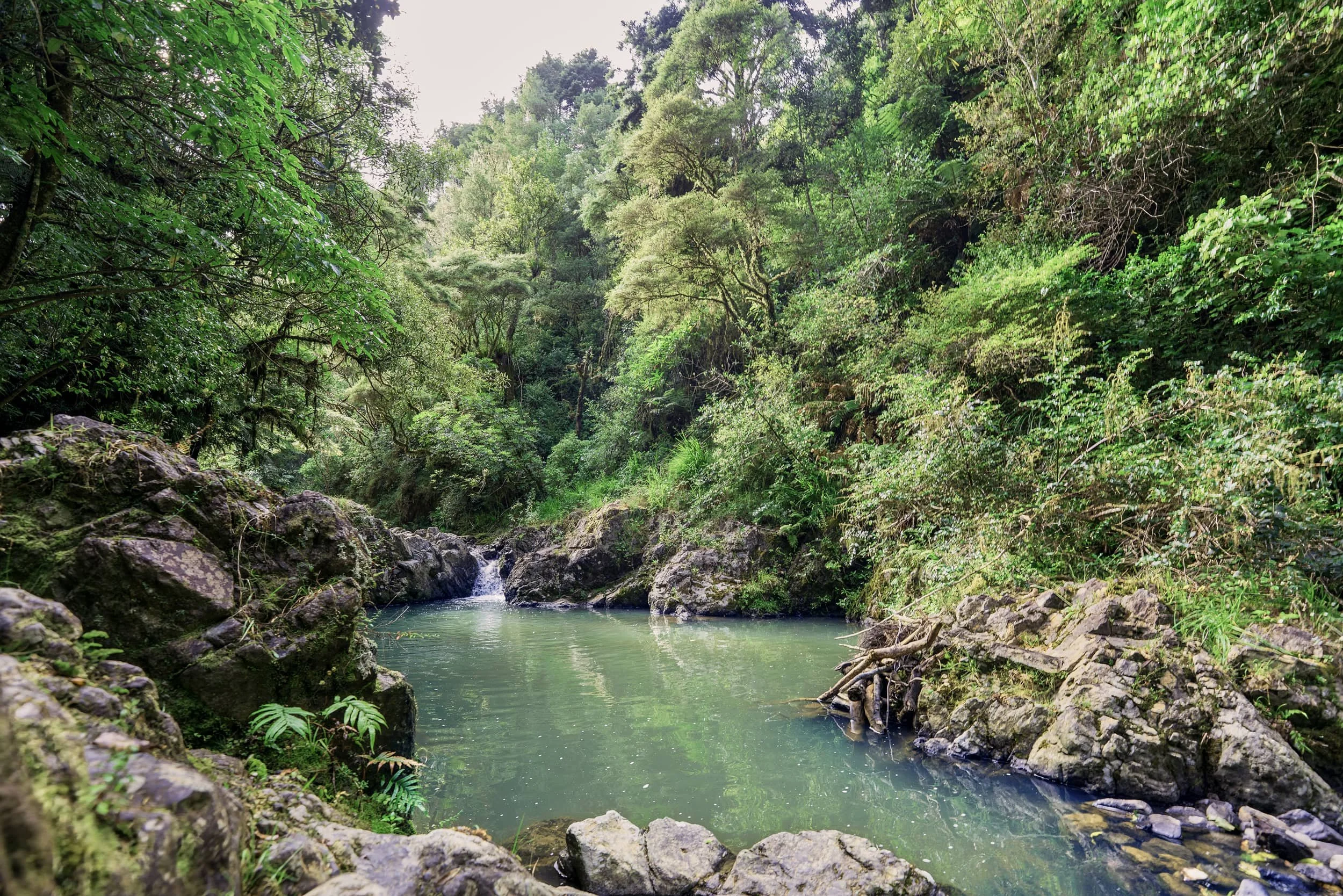 Hunua Ranges Regional Park