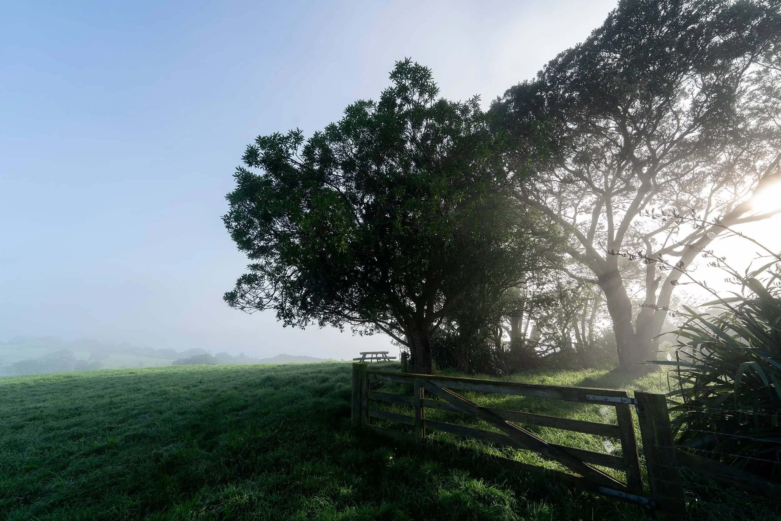 Omana Regional Park