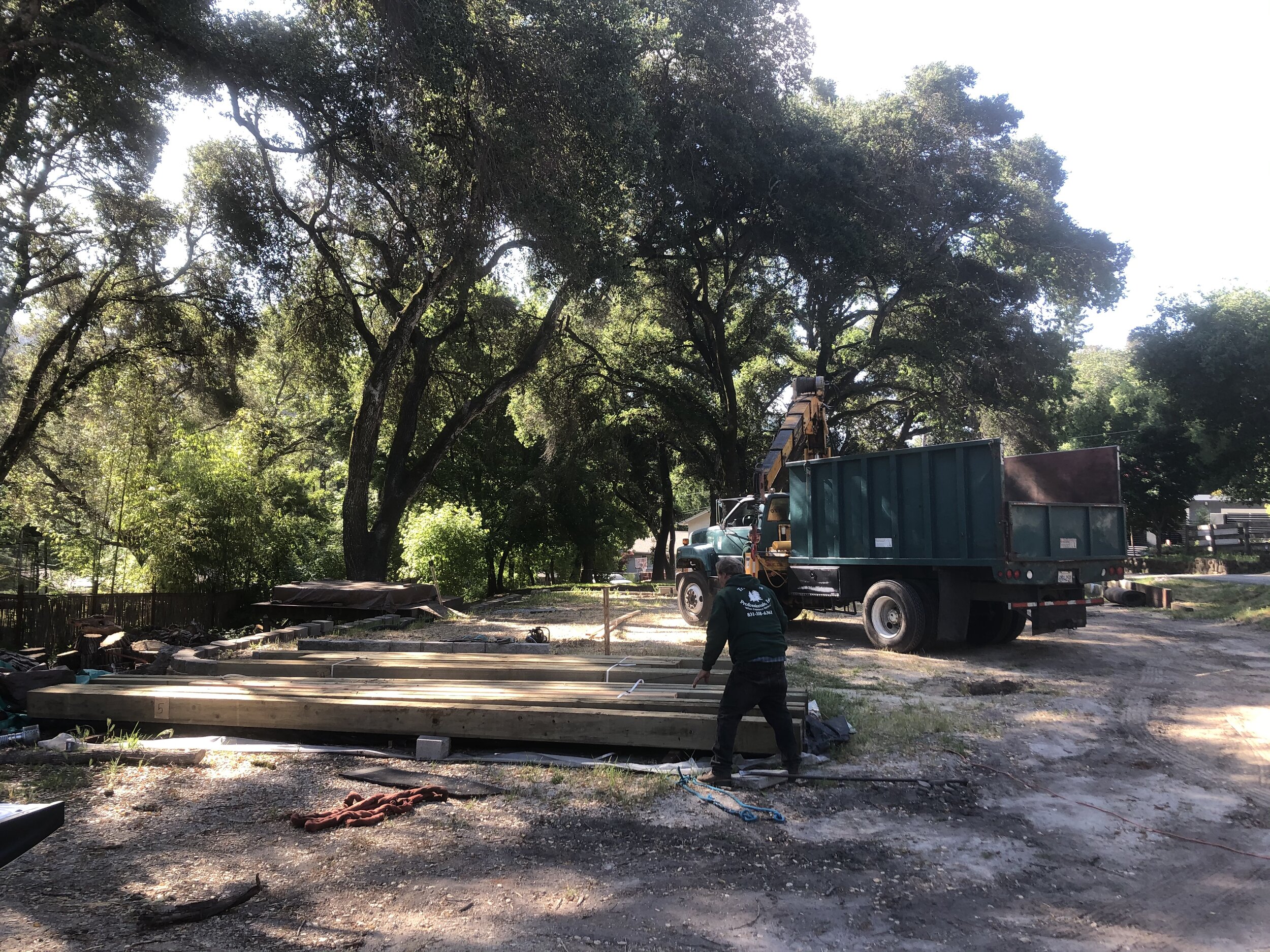 Bob Travis from Travis Tree brought over his crane to set the posts.