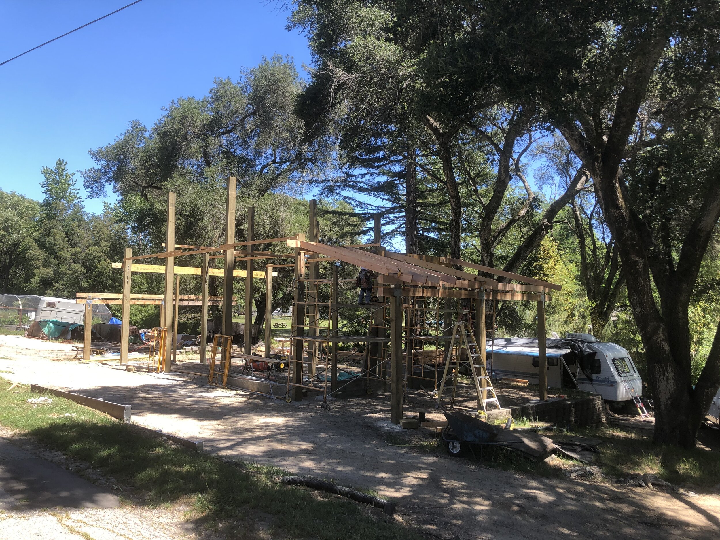Rafters going in.