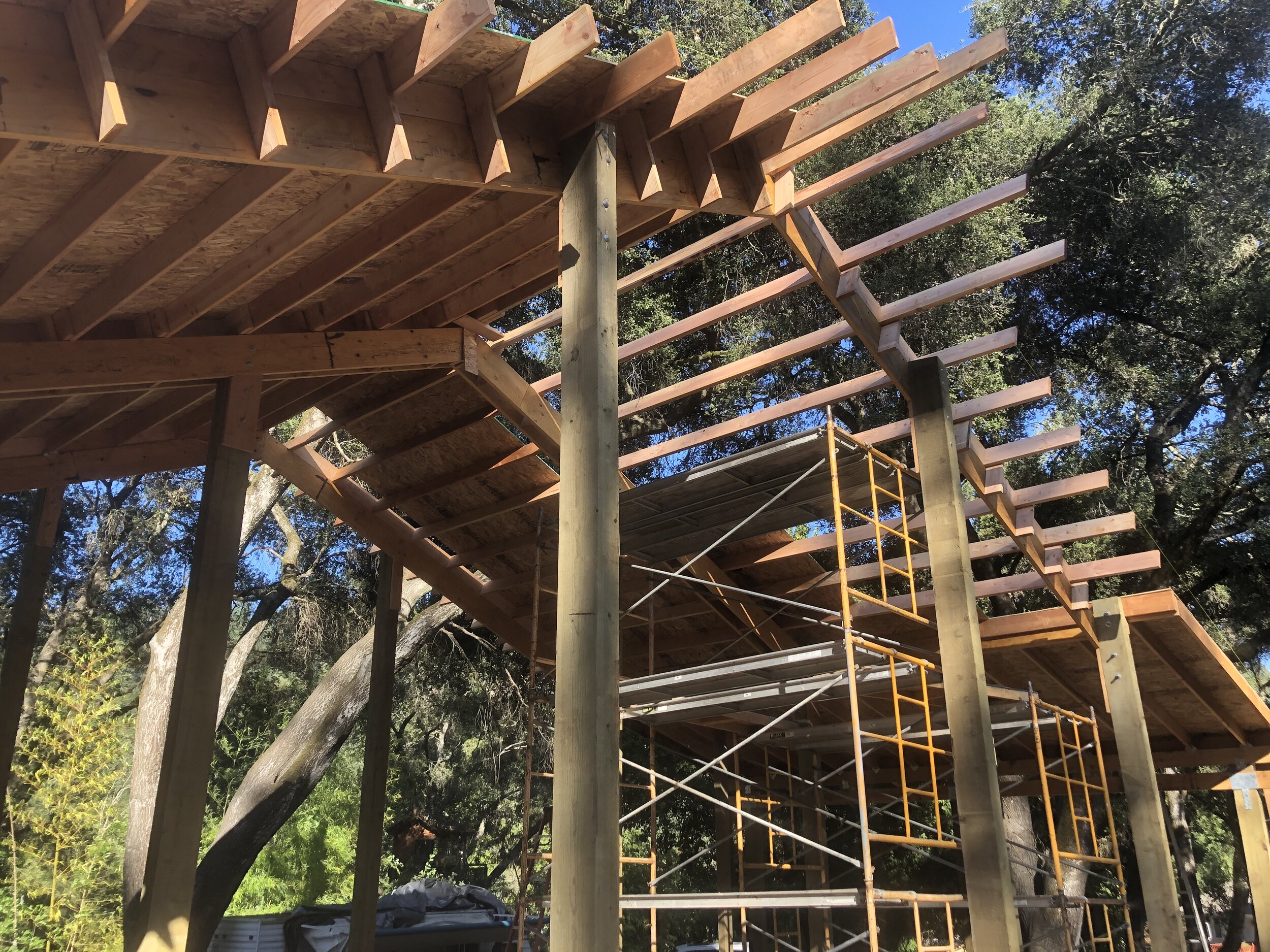 Purlins are in!