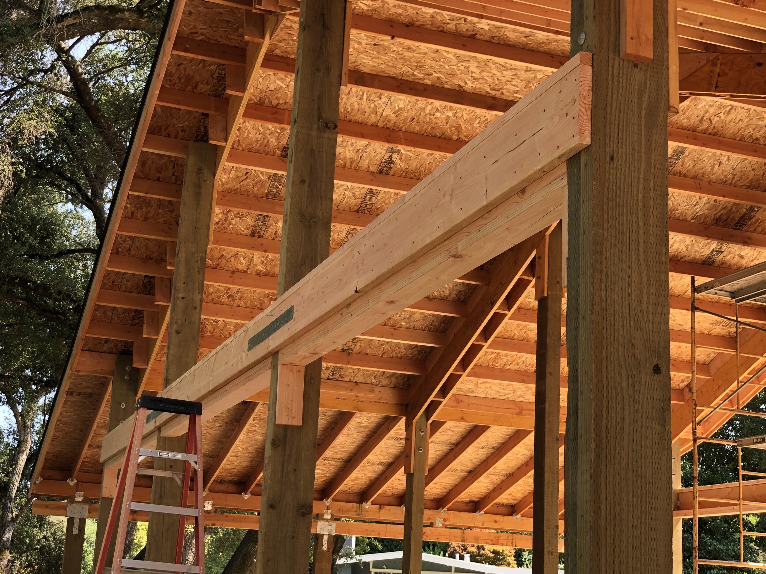 Framing for the breezeway doors and T1-11.