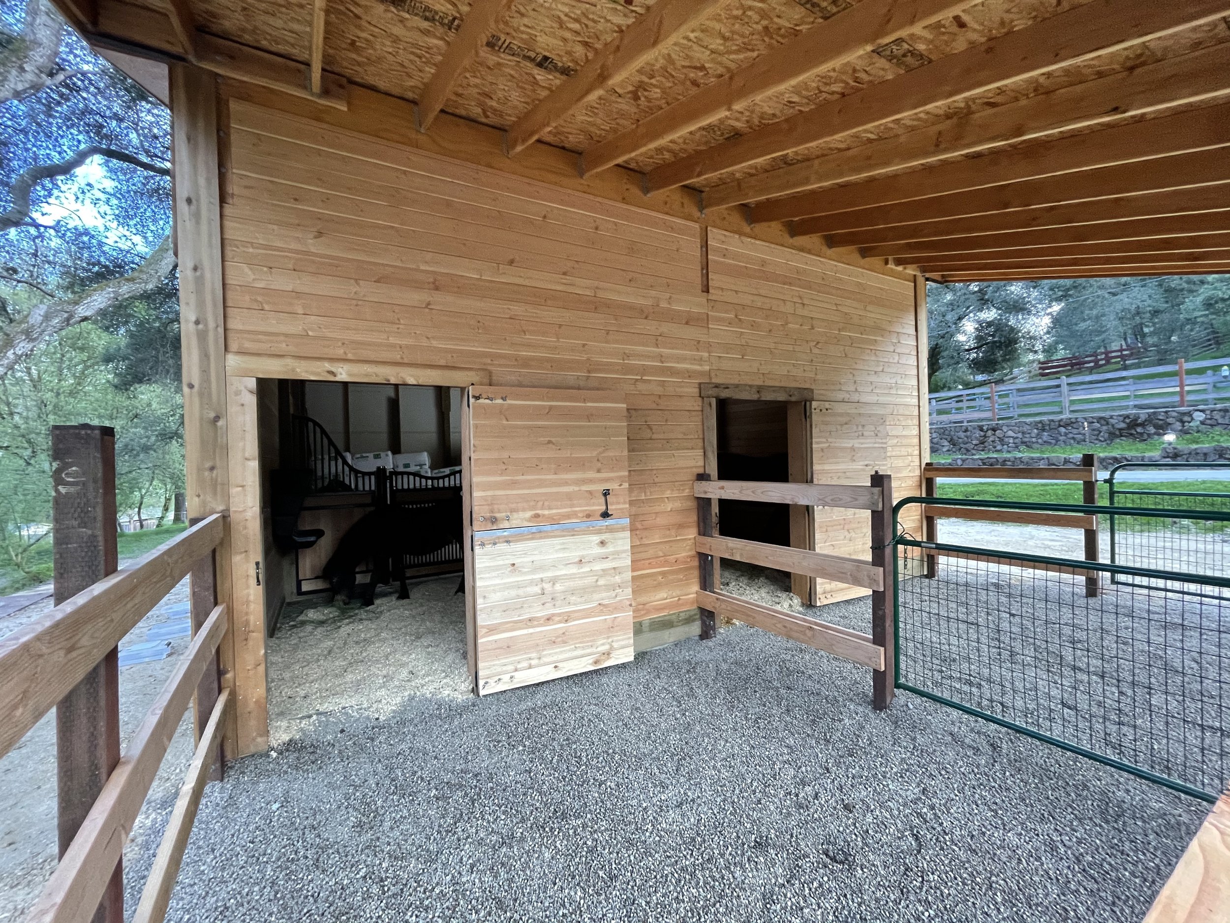 Pea gravel is excellent for the equine hoofs