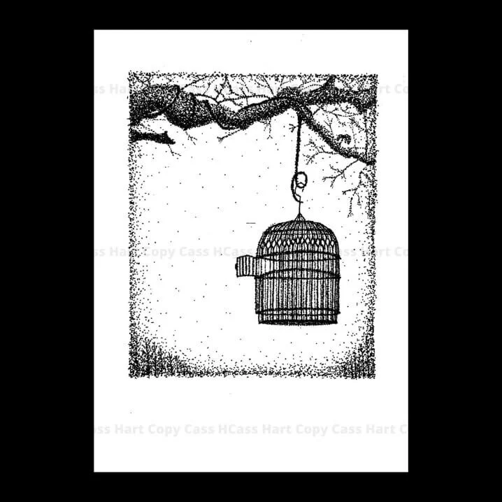 Bird In A Cage