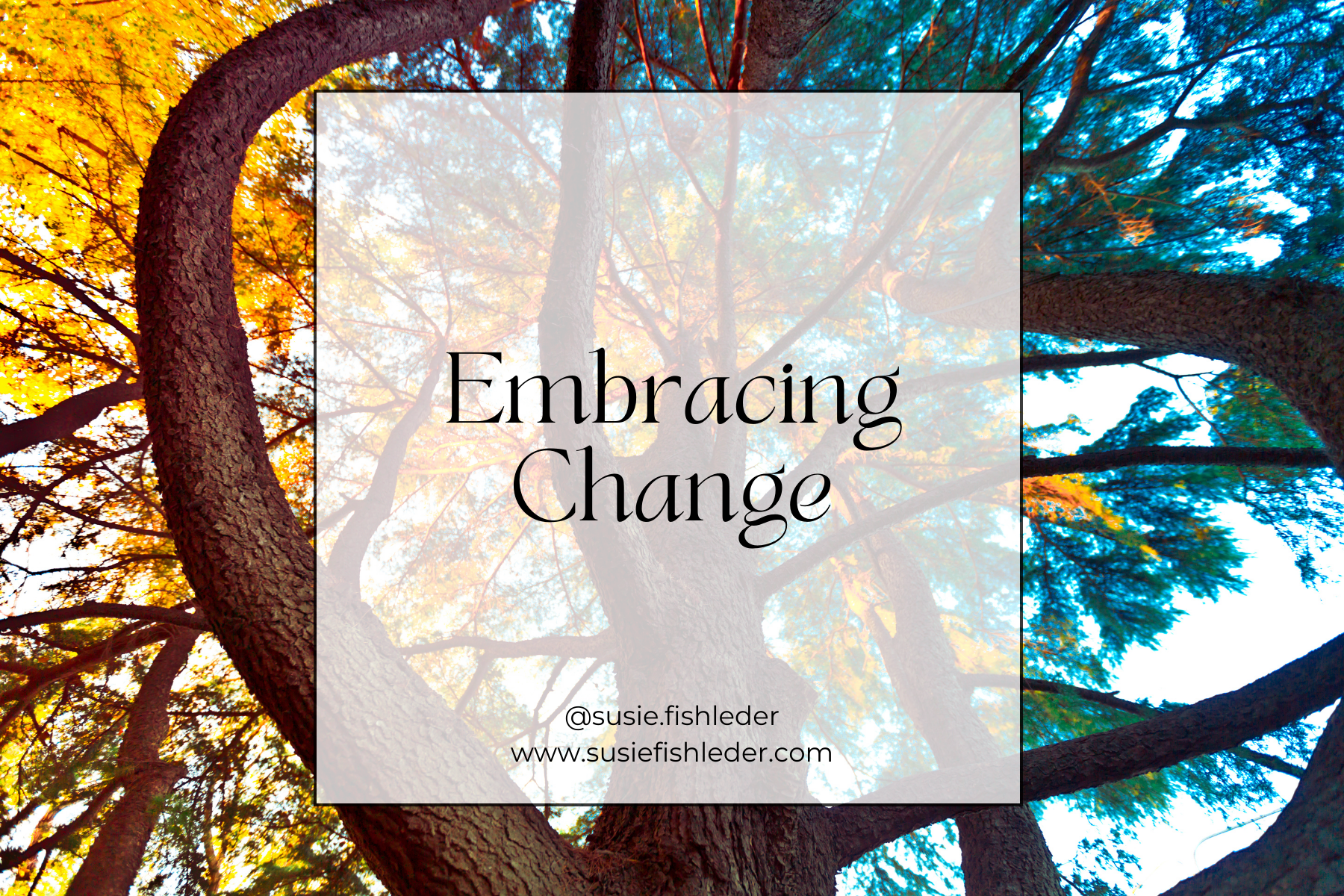 Embracing Change: How to manage transitions with kids - and for yourself