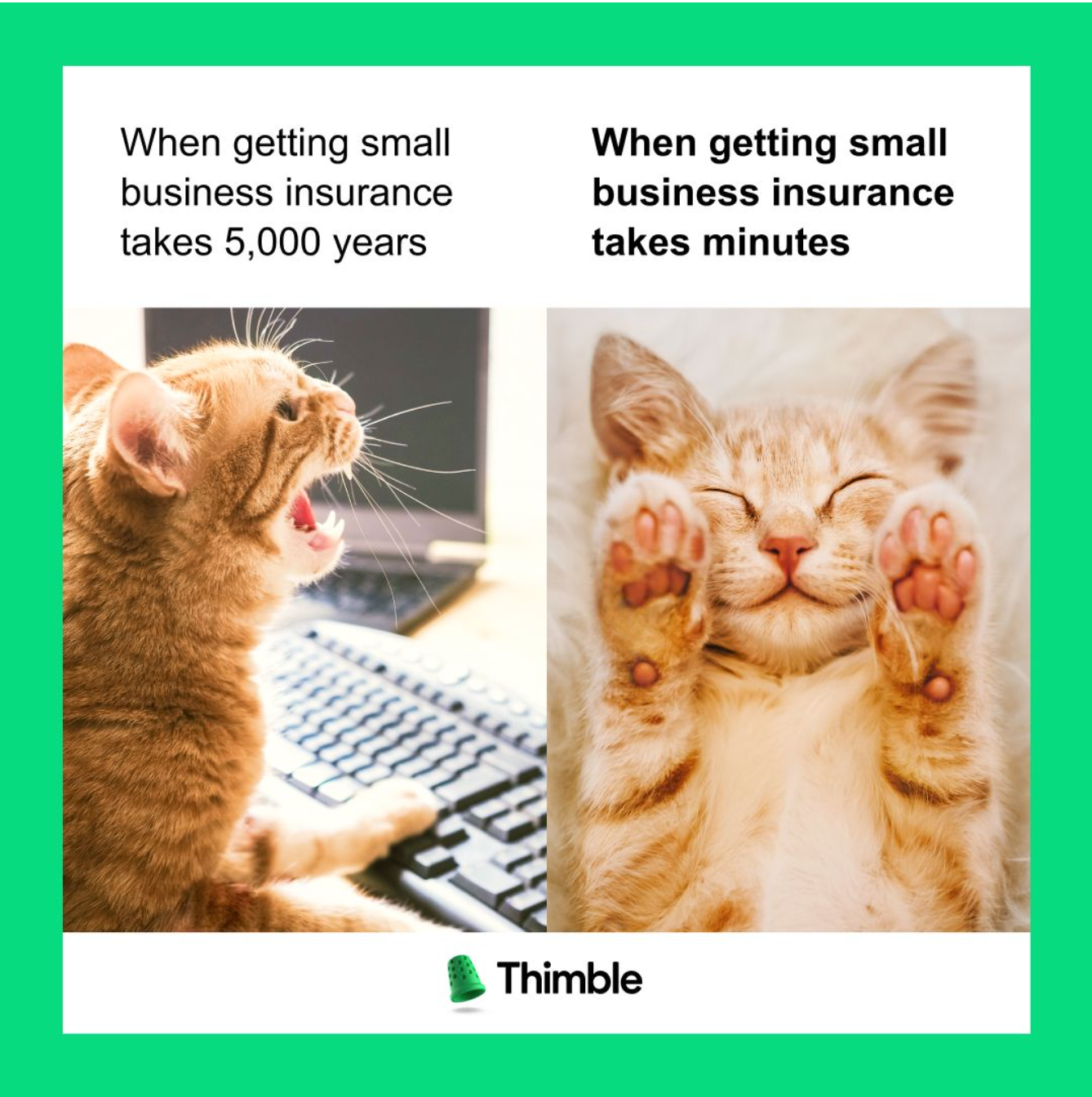 Thimble Paid Social 2.png