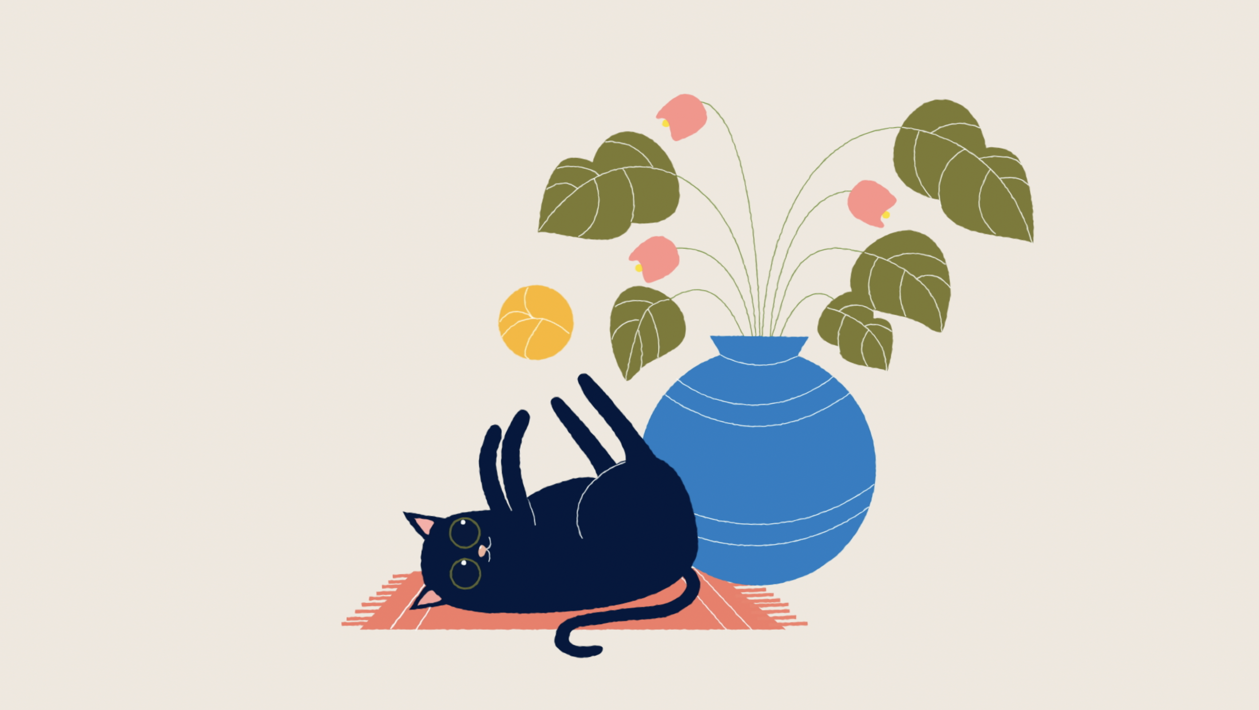 Playful Cat