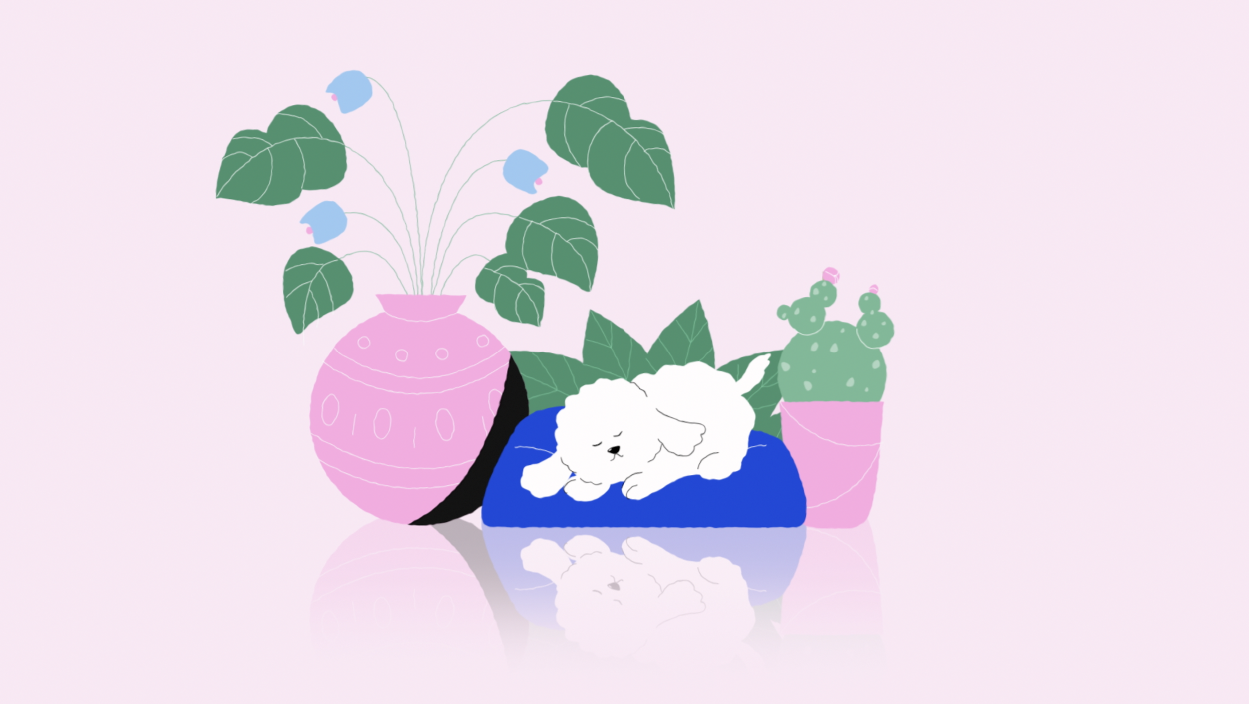 Siesta