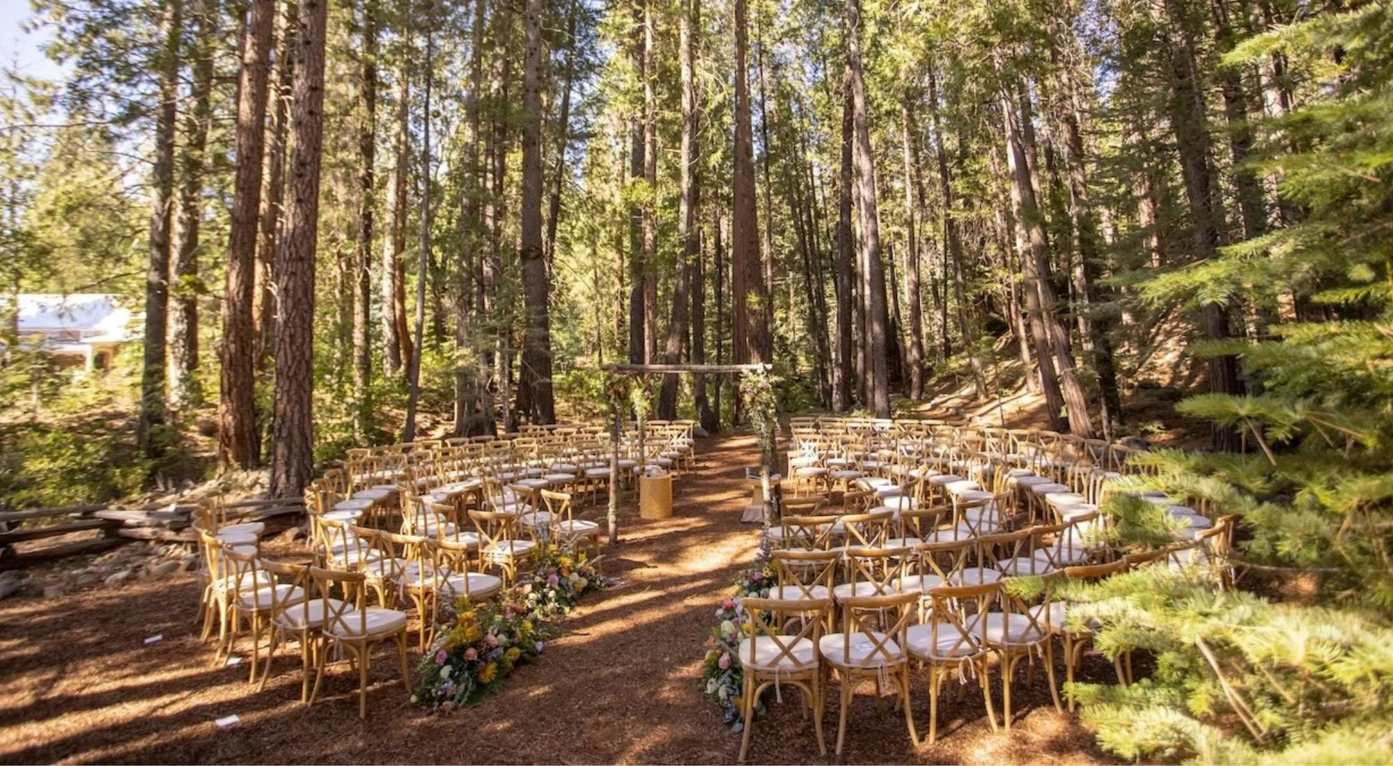 Wedding Flowers Explained: Do You Need a Florist or Can You DIY?