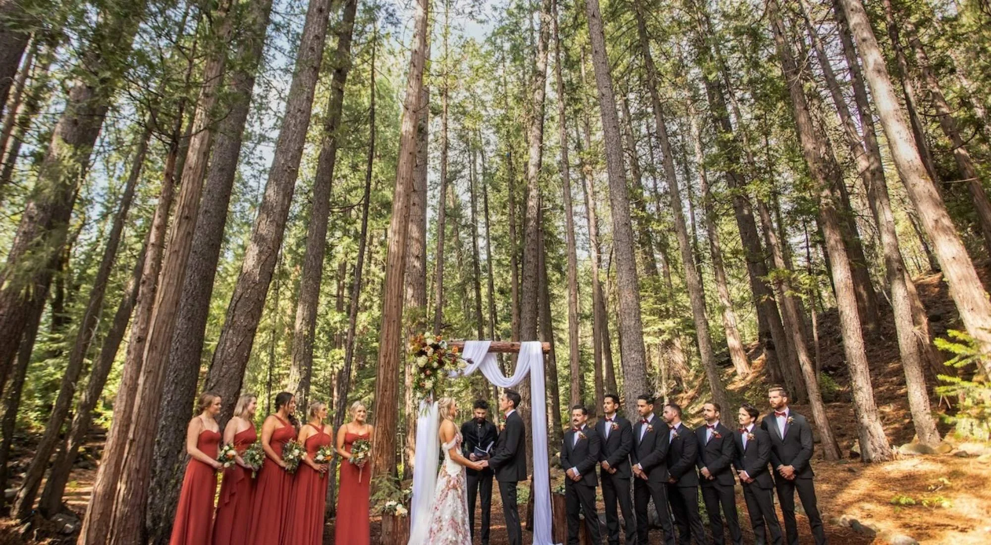 Redwood Forest Weddings: What To Expect and California’s Best-Kept (Secret) Alternative