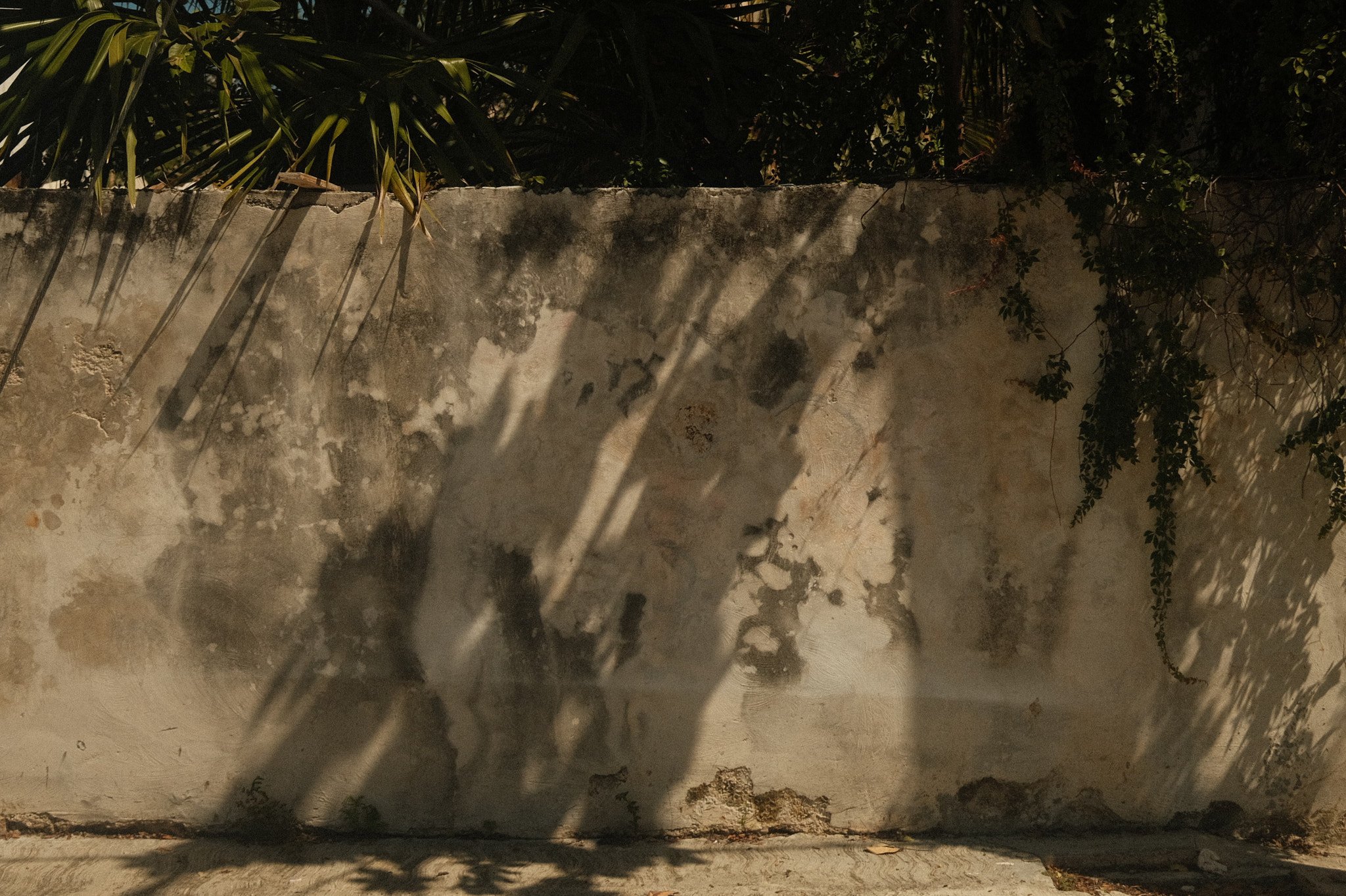 Shot 07 _145_Web Res.jpg