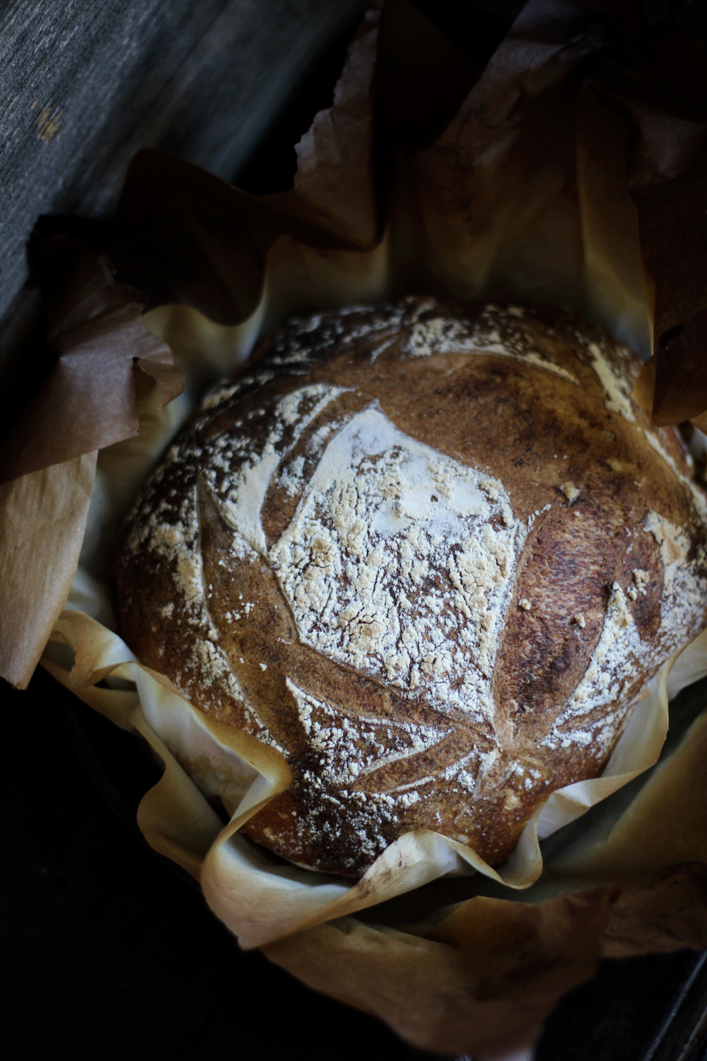 Tangy Asiago Rosemary Bread  with Roasted Garlic | Makes 2 Rustic Rounds