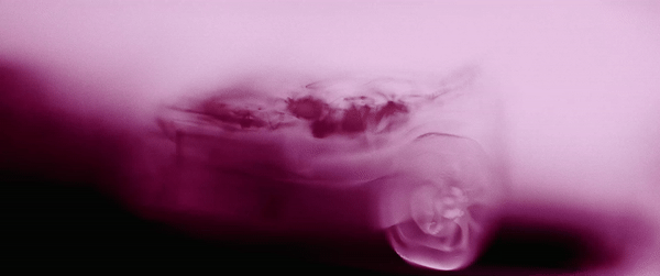 Envision_ADD030.gif