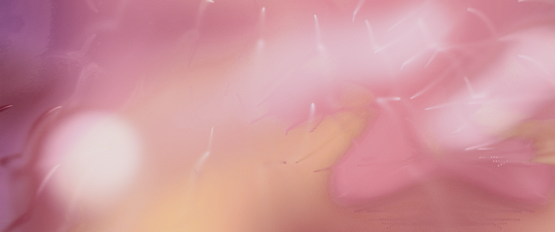 Envision_SH080_WEB.png