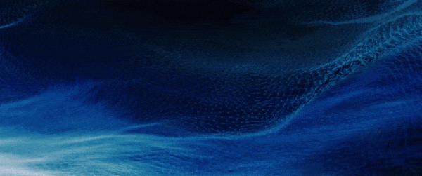 Envision_ADD120.gif