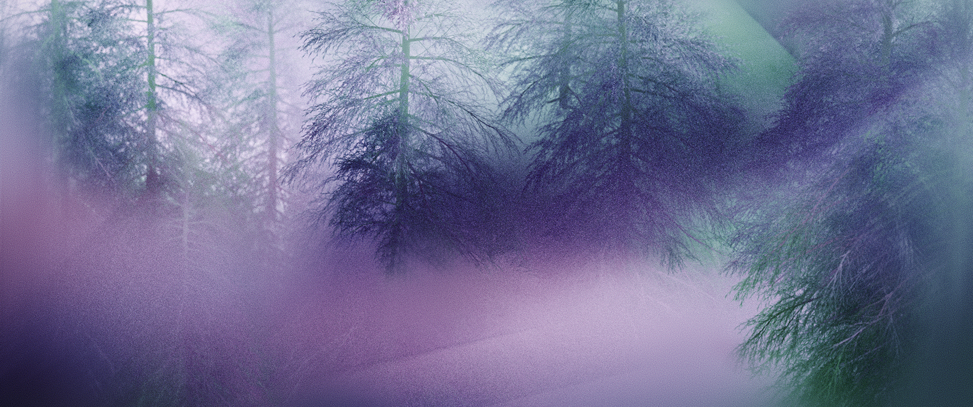 Envision_ADD080_WEB.png