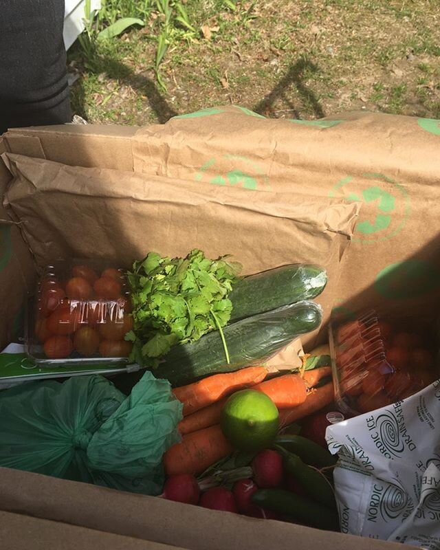First delivery of our ugly produce!! So excited for fresh veggies!!! #uglyfruit #veggielove #misfitproduce