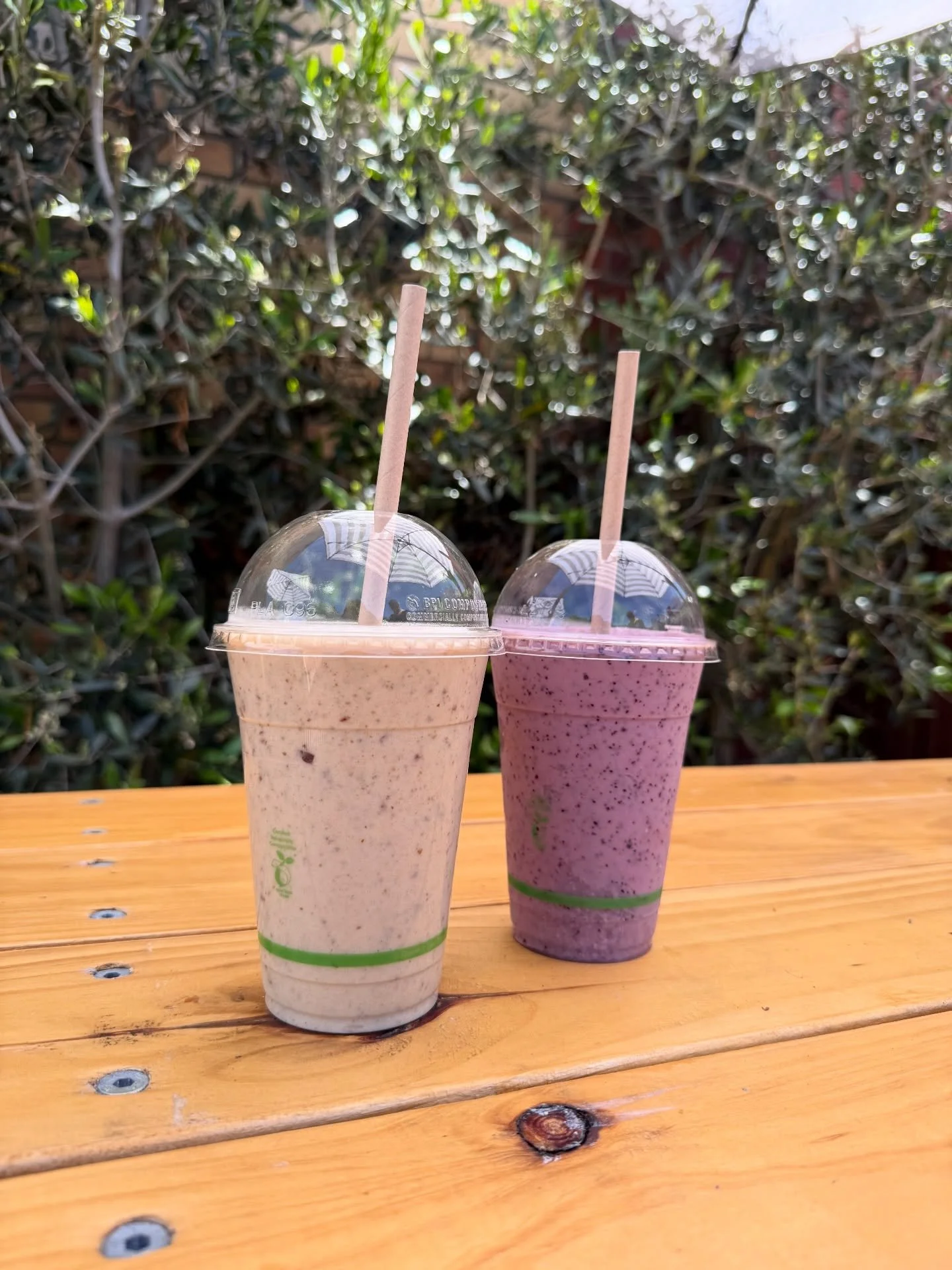 ☀️ Summer sips are HERE!

Meet our two new sunshine-in-a-cup smoothies:
🍌 Chunky Monkey Mojo &ndash; creamy, nutty, naturally sweet goodness. 

(banana, house made peanut butter, organic dates, chia seeds, cinnamon &amp; your milk of choice)

🫐🥭 C