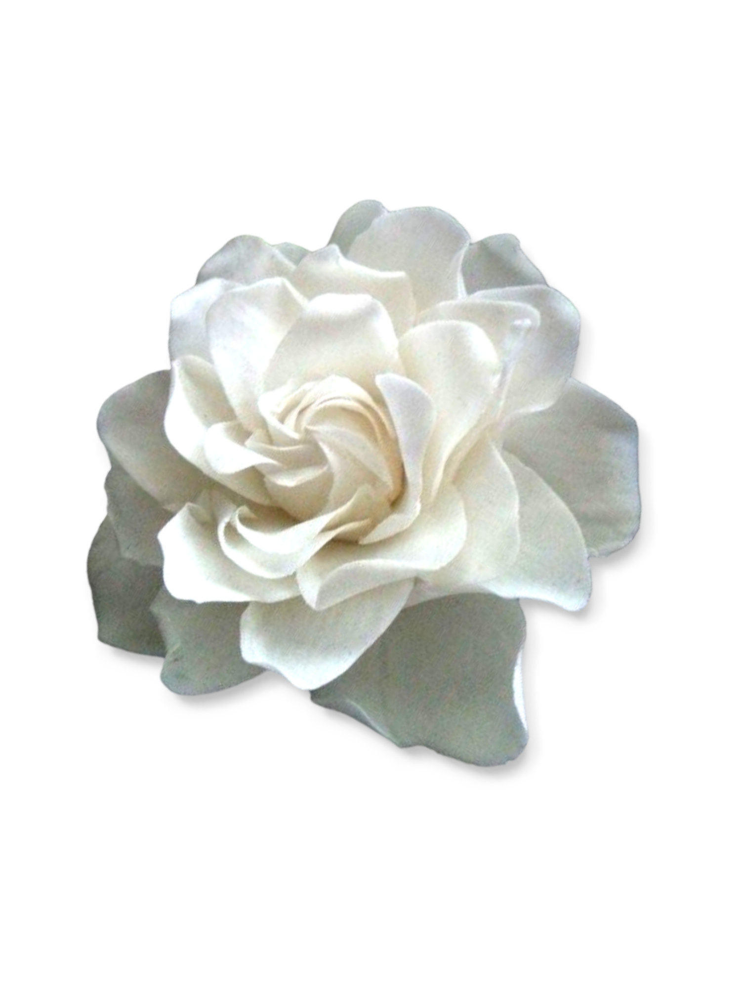 Photoroom-20240711_235358.png