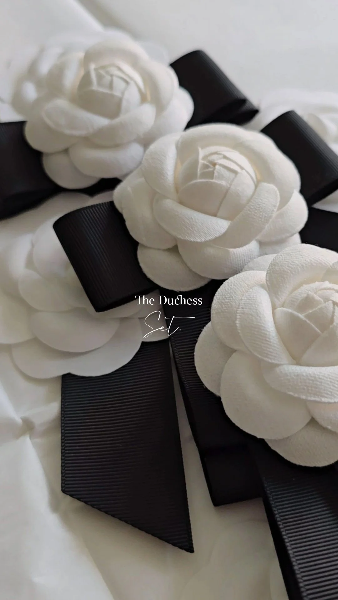 19.10.2024 21.56.08 317 351.jpg