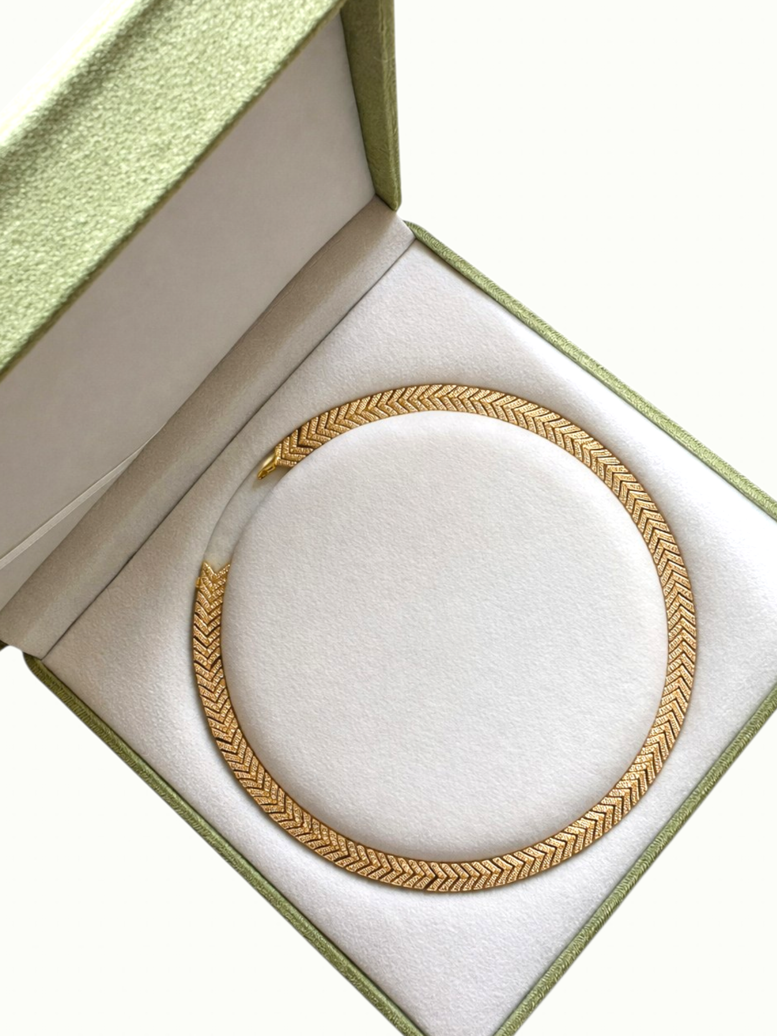 Photoroom-20260127_181801651 (24).png