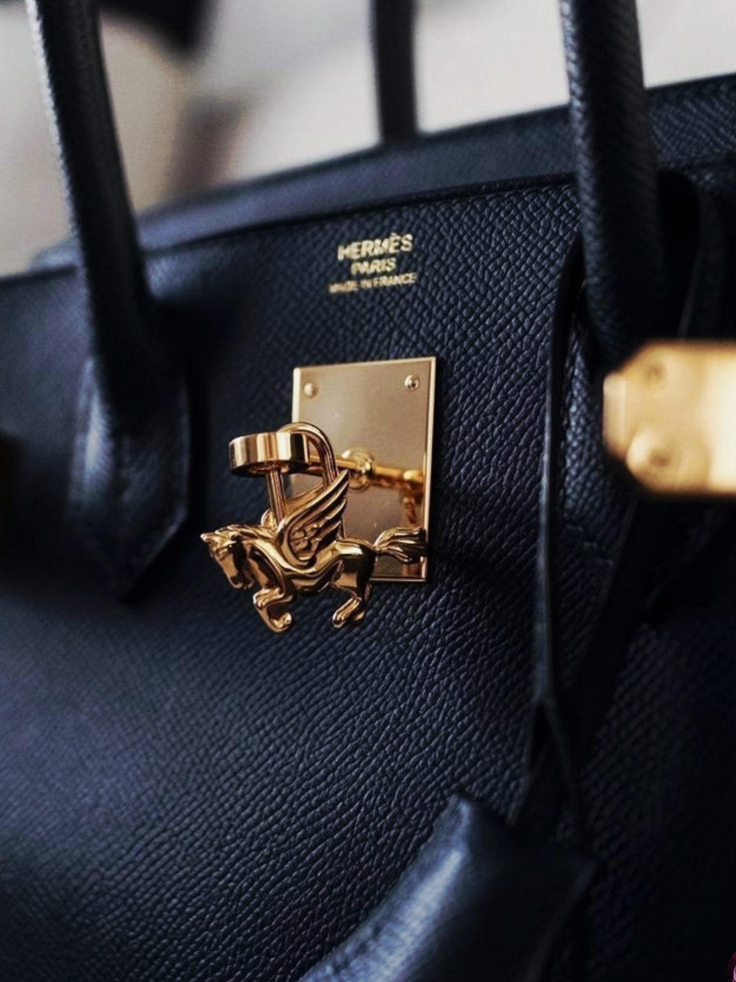 The WILDWING MUSTANG| Lock Charm