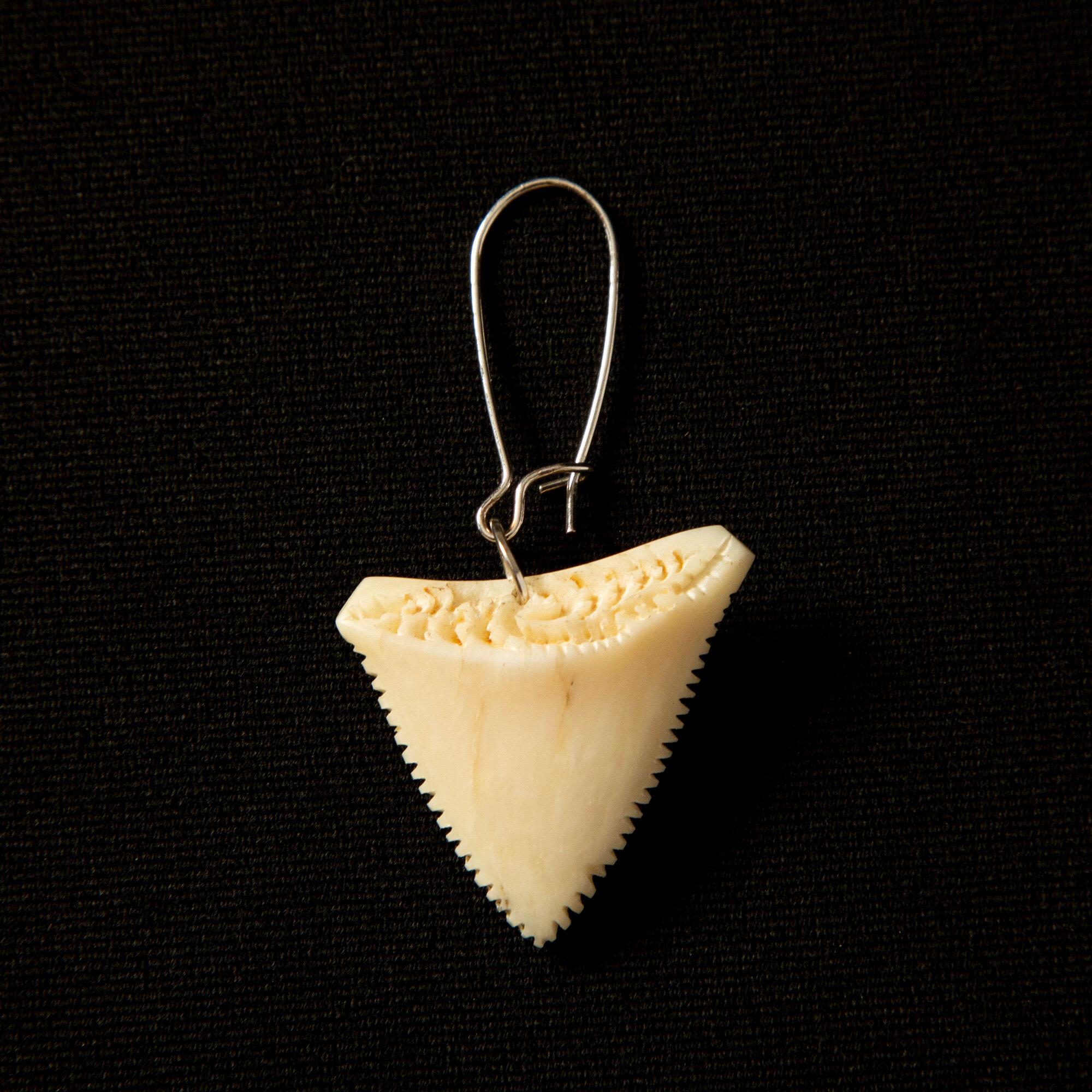 Mau taringa: Imitation shark tooth earring #3