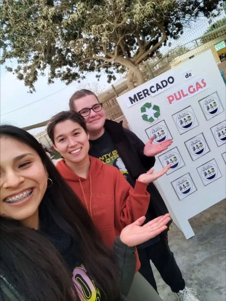 mercado de pulgas.jpeg