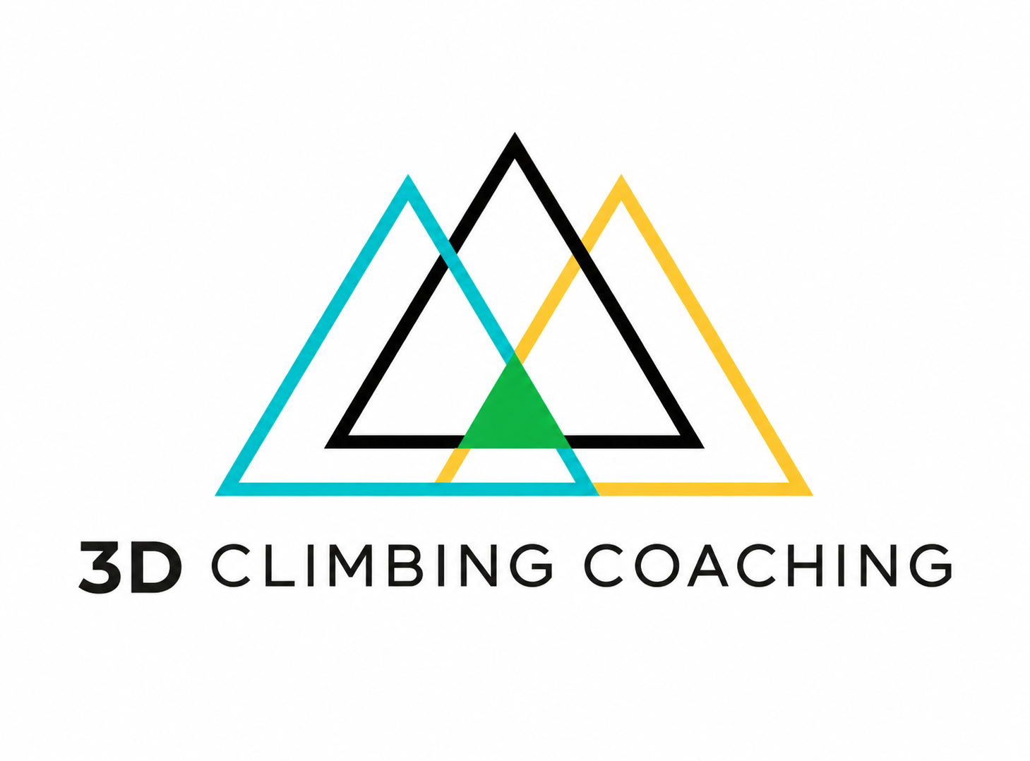 3D Climbing Coaching