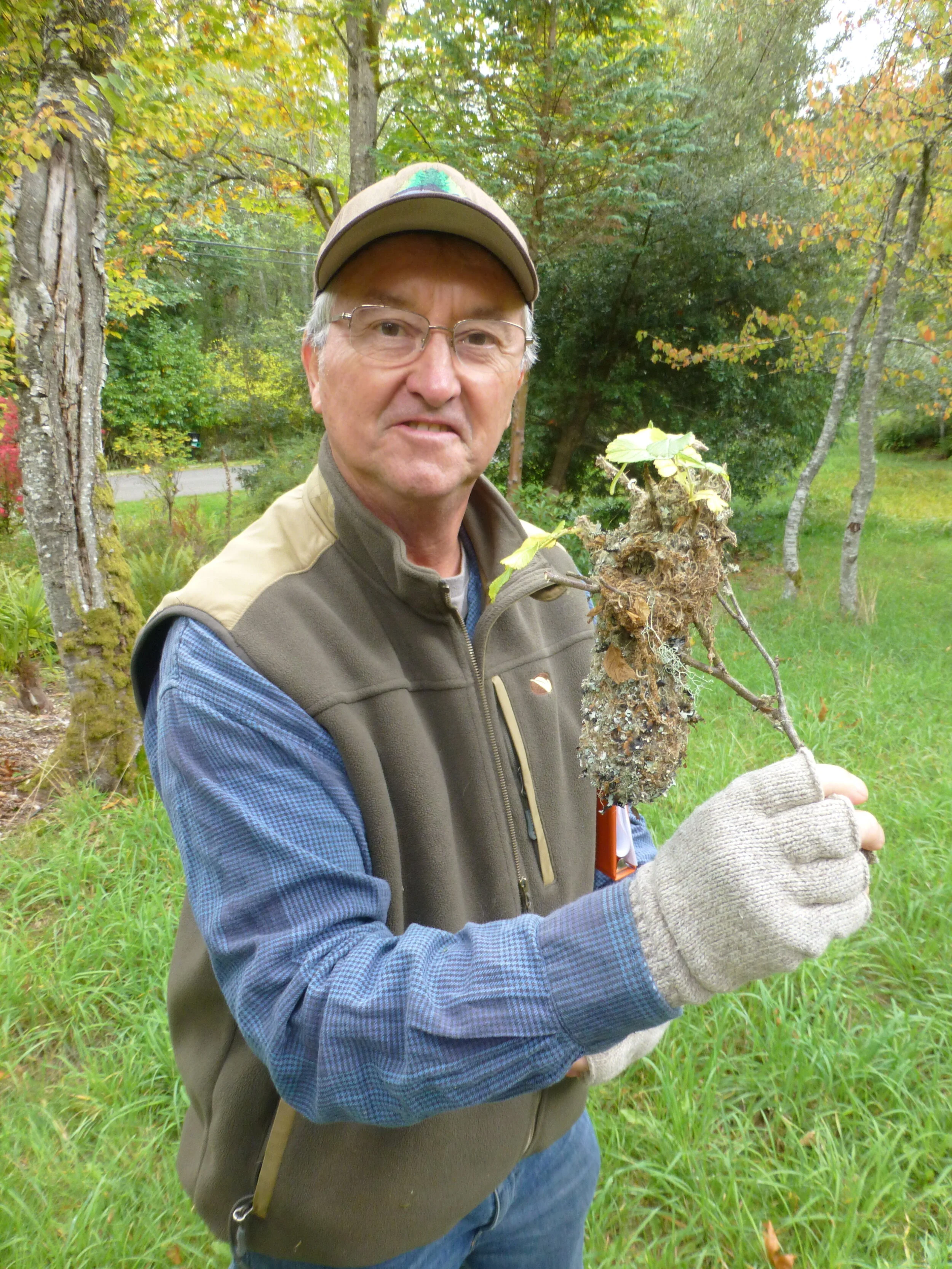 A Dead Tree's Excellent Adventure [online]