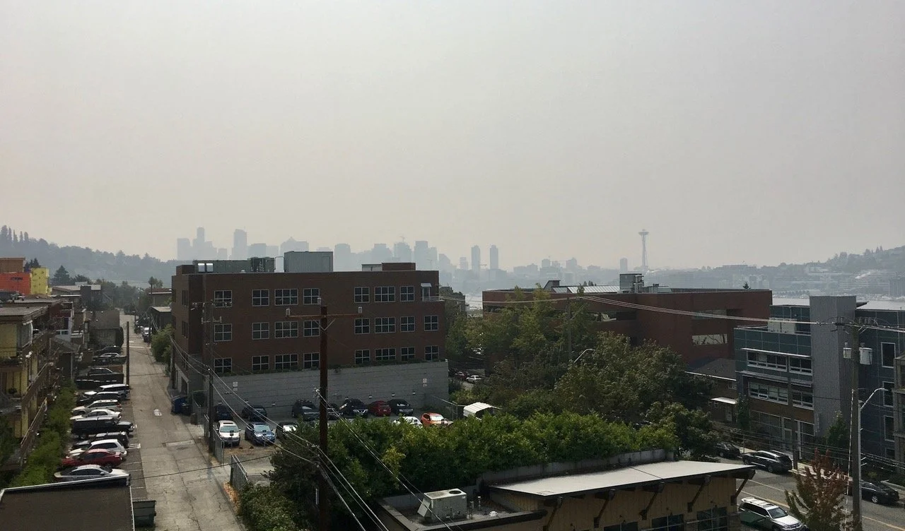 Up In Smoke: How will birds respond to smoke pollution in the age of megafires?