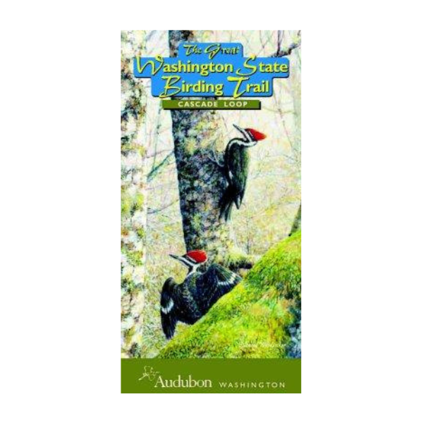 Cascade Loop Square.png