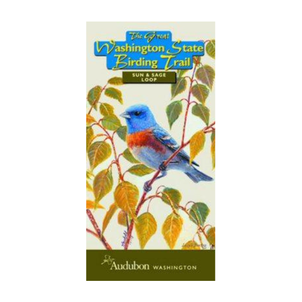 Sun and Sage Loop Square.png