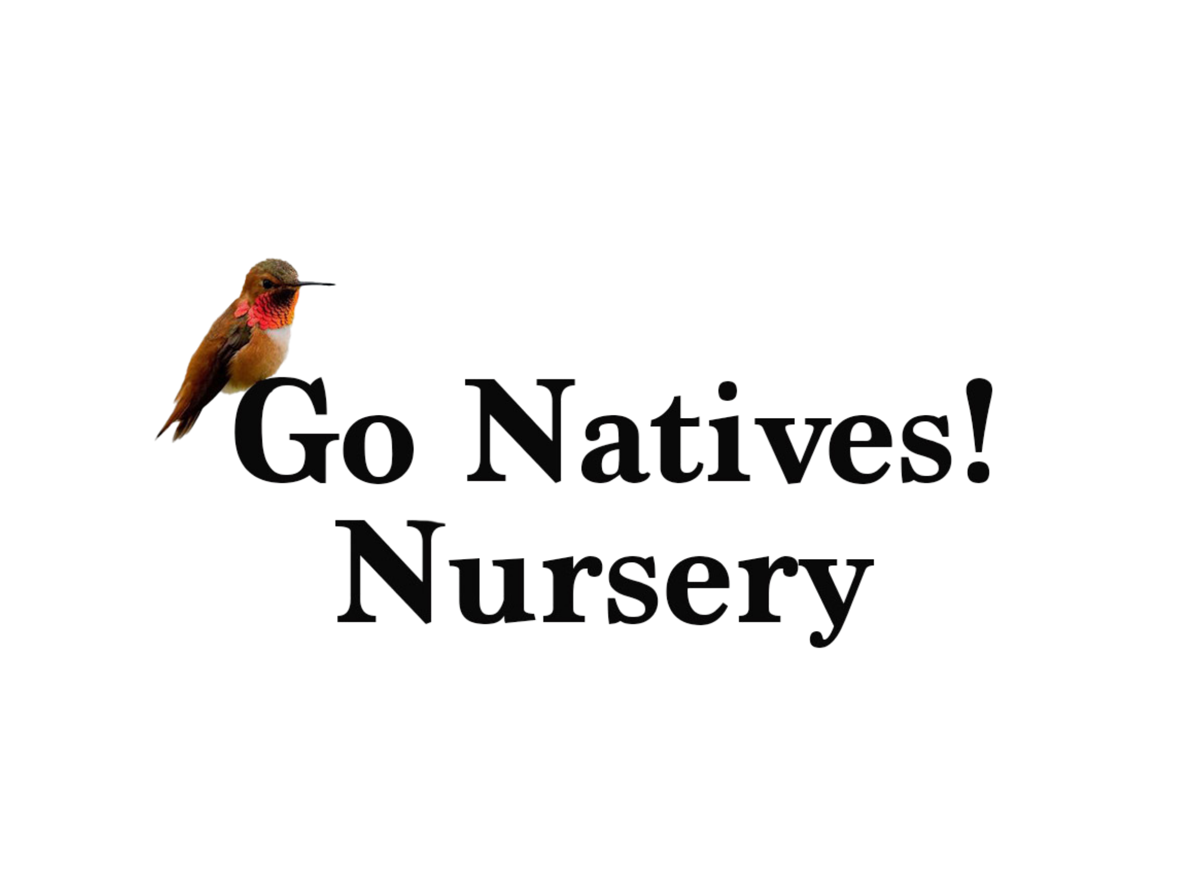 Untitled design (15).png