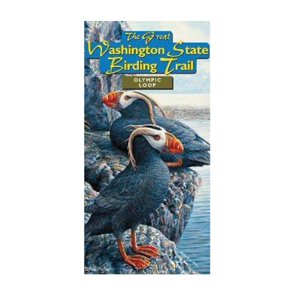 Olympic Loop Square.png