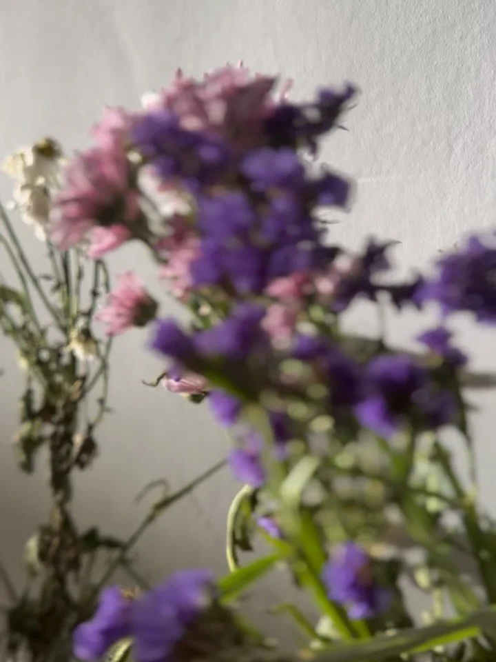 Los lunes de invierno 

@ire.svaquero 
@ismaeldearte 
@angela_gelu 
@victoriamurillo9