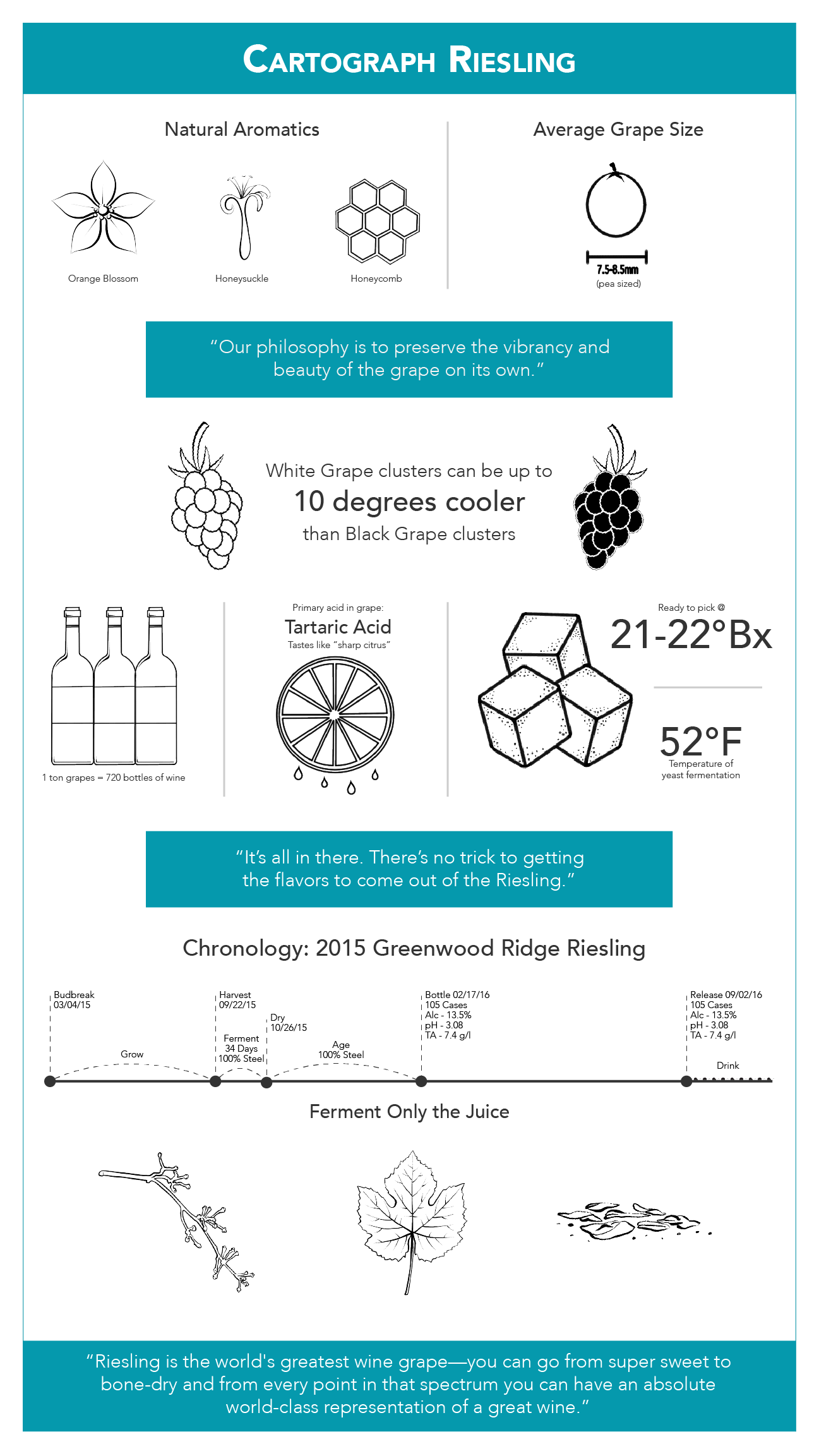 riesling_Alan_Baker_schematic.png