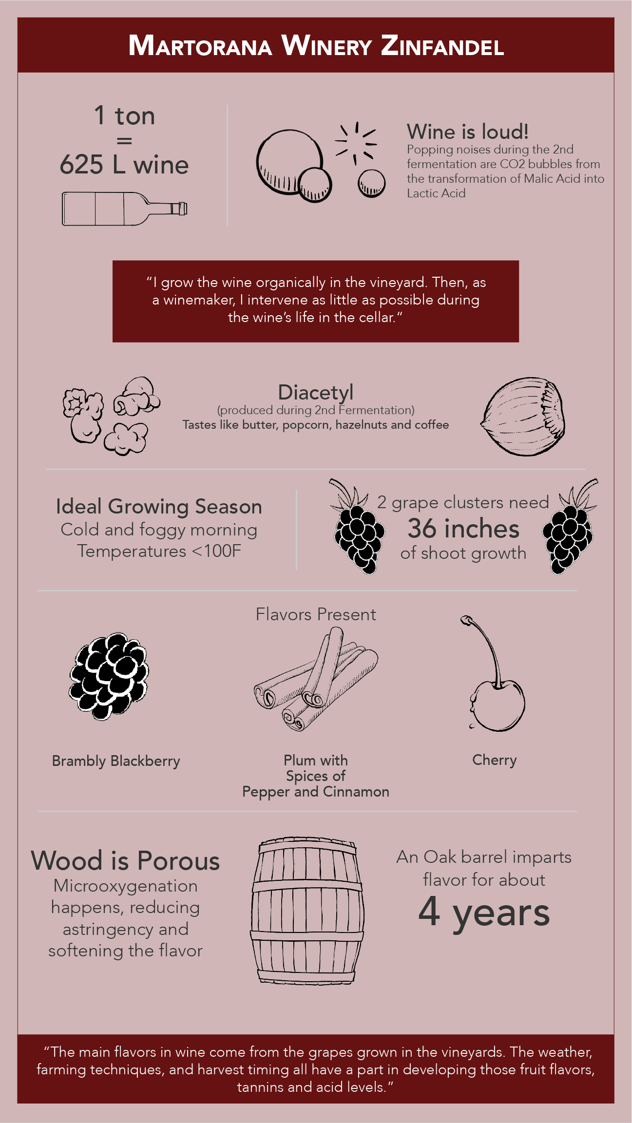 zinfandel_schematic_Gio Martorana_Color.png