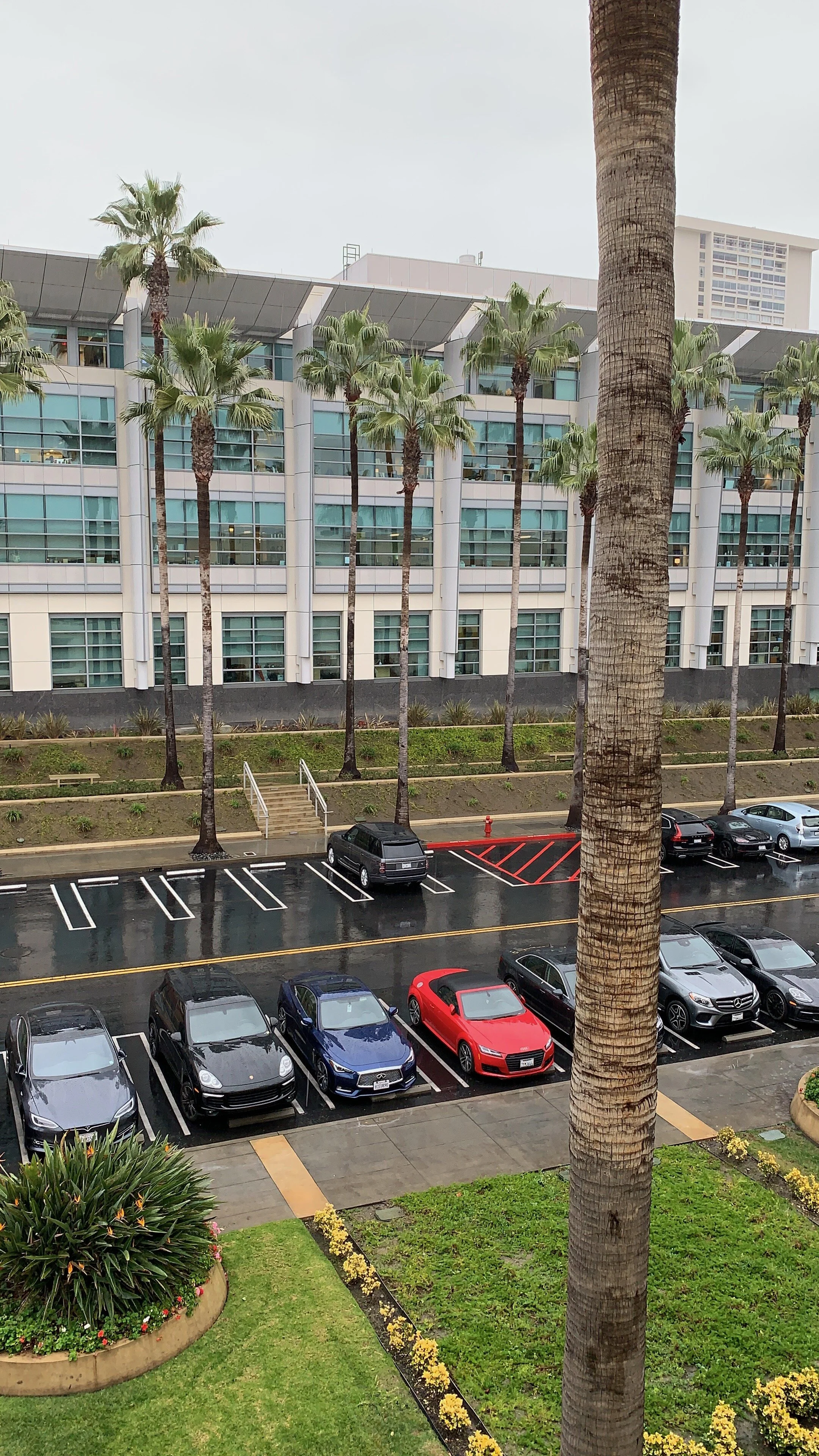 A rainy day on the Fox Lot
