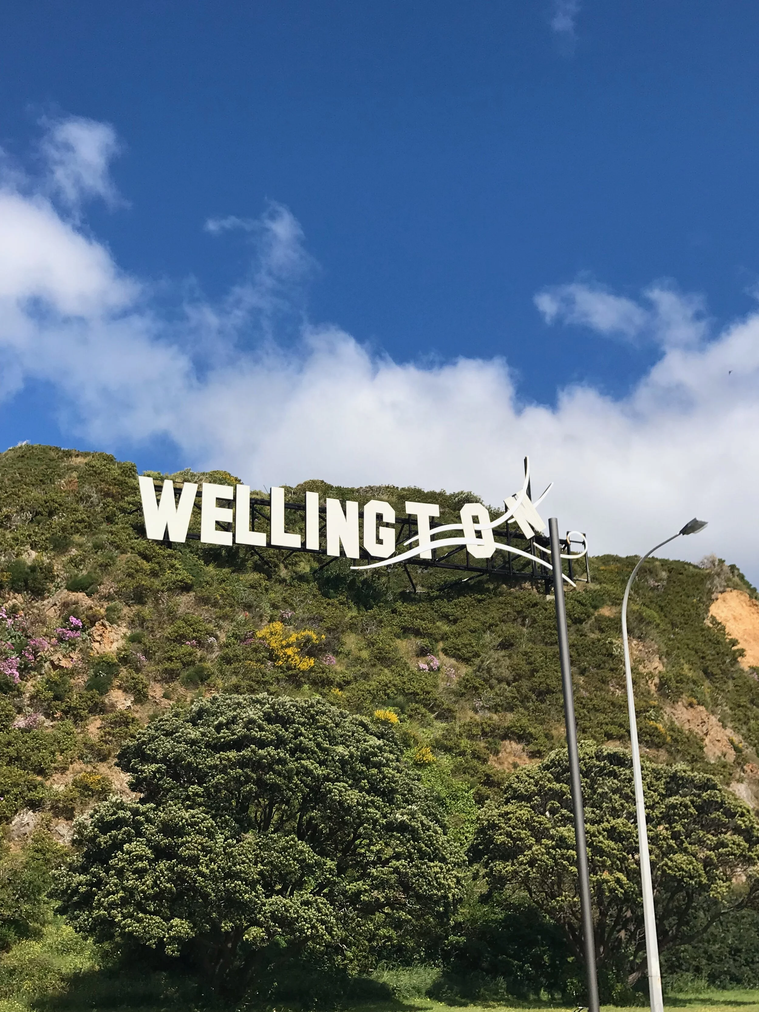 A beautiful day in Welly-wood!