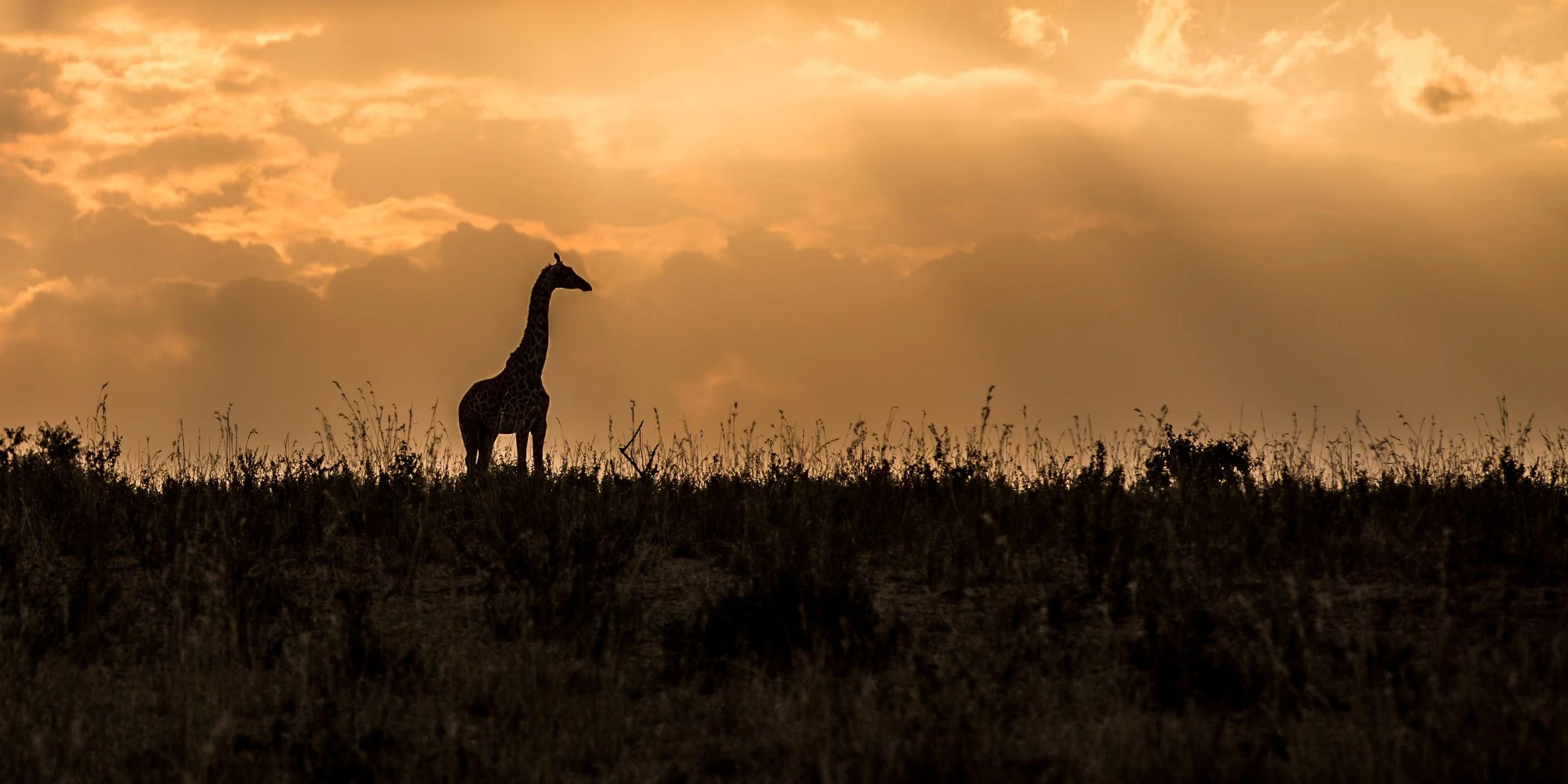 Kenya Edited-102.jpg